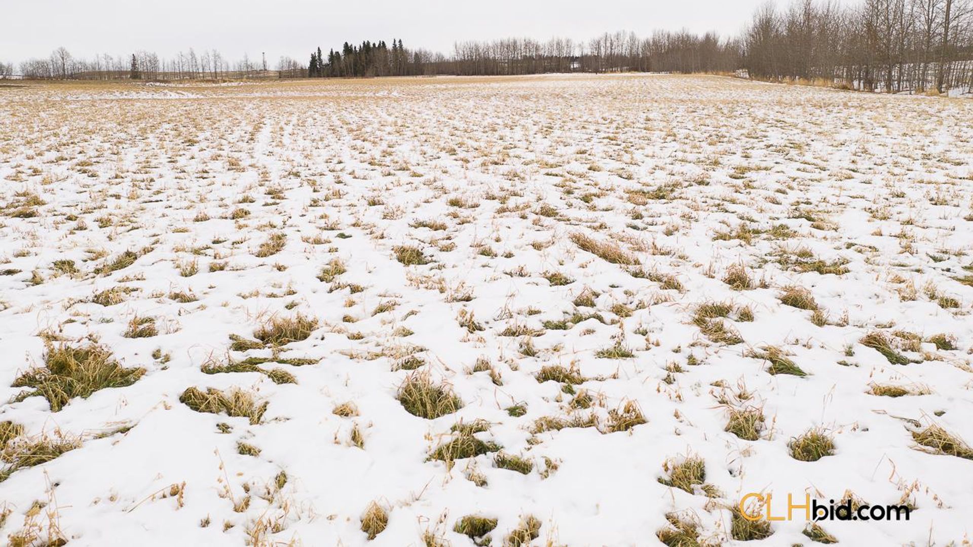 lincolnroadselect-2-10