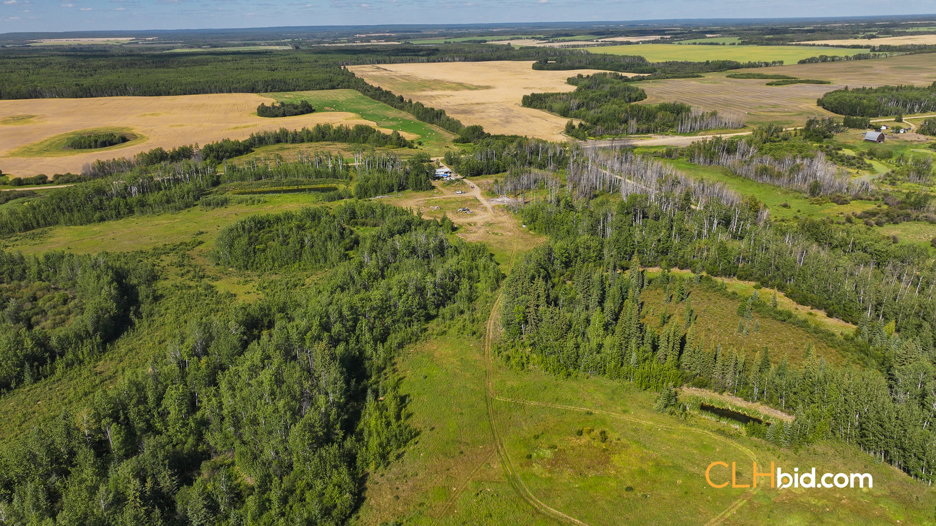 Web Talking Trees 21