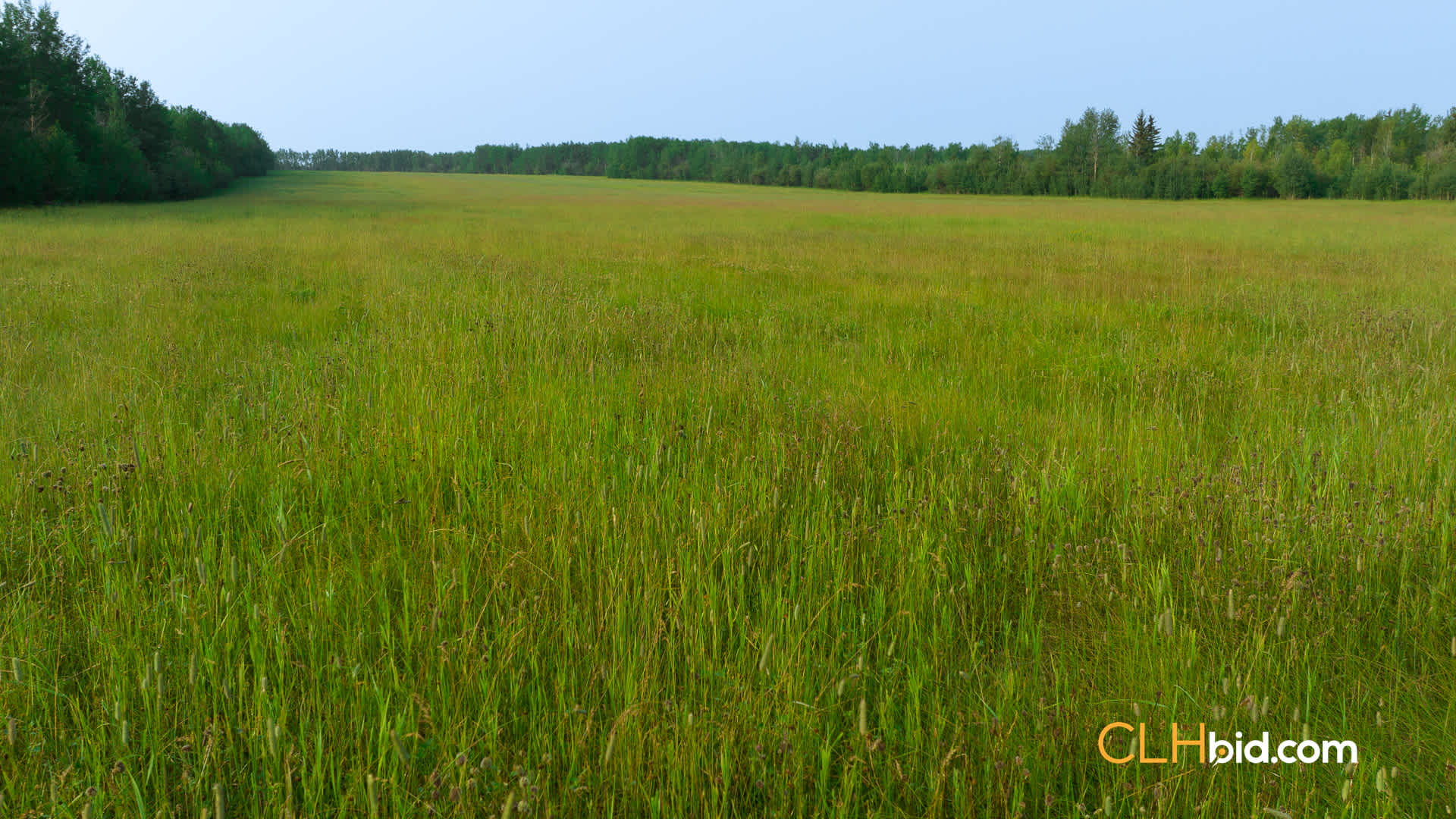 Web-SmokyRanch-1
