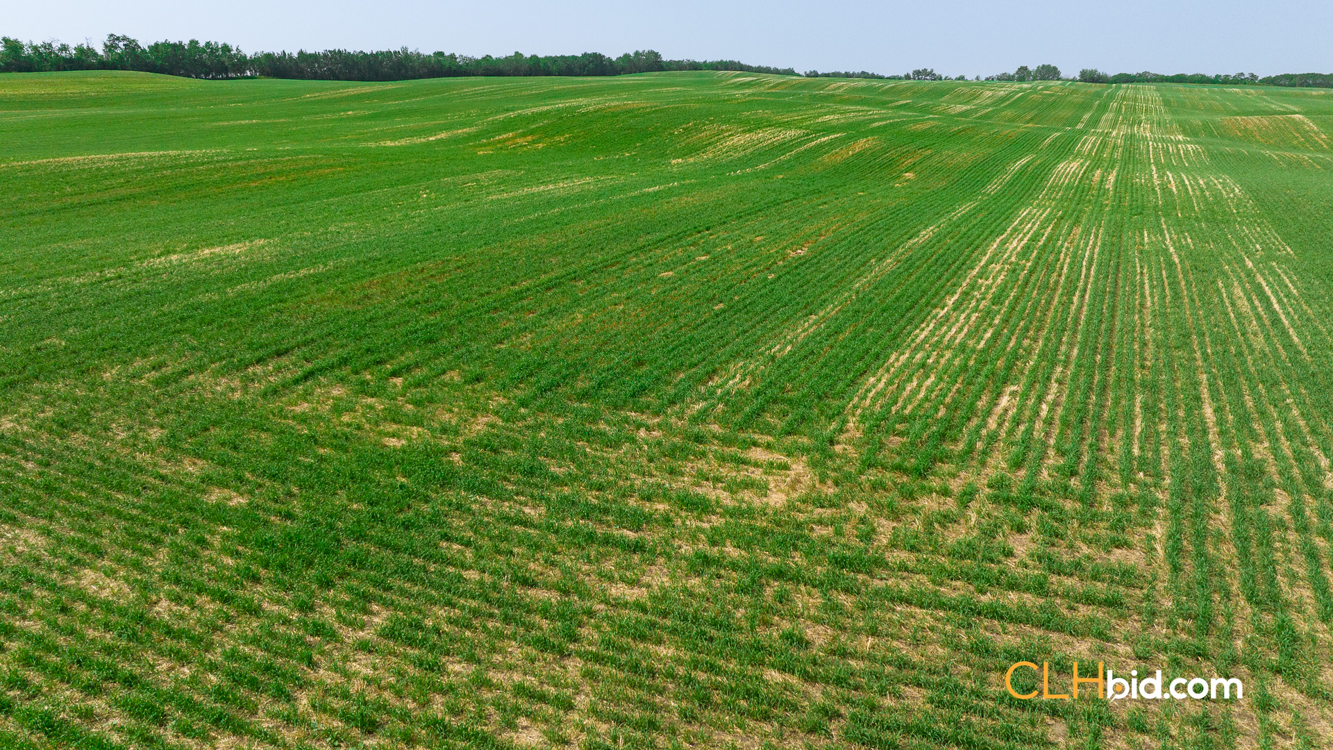 Web-Innisfree8Summer-50