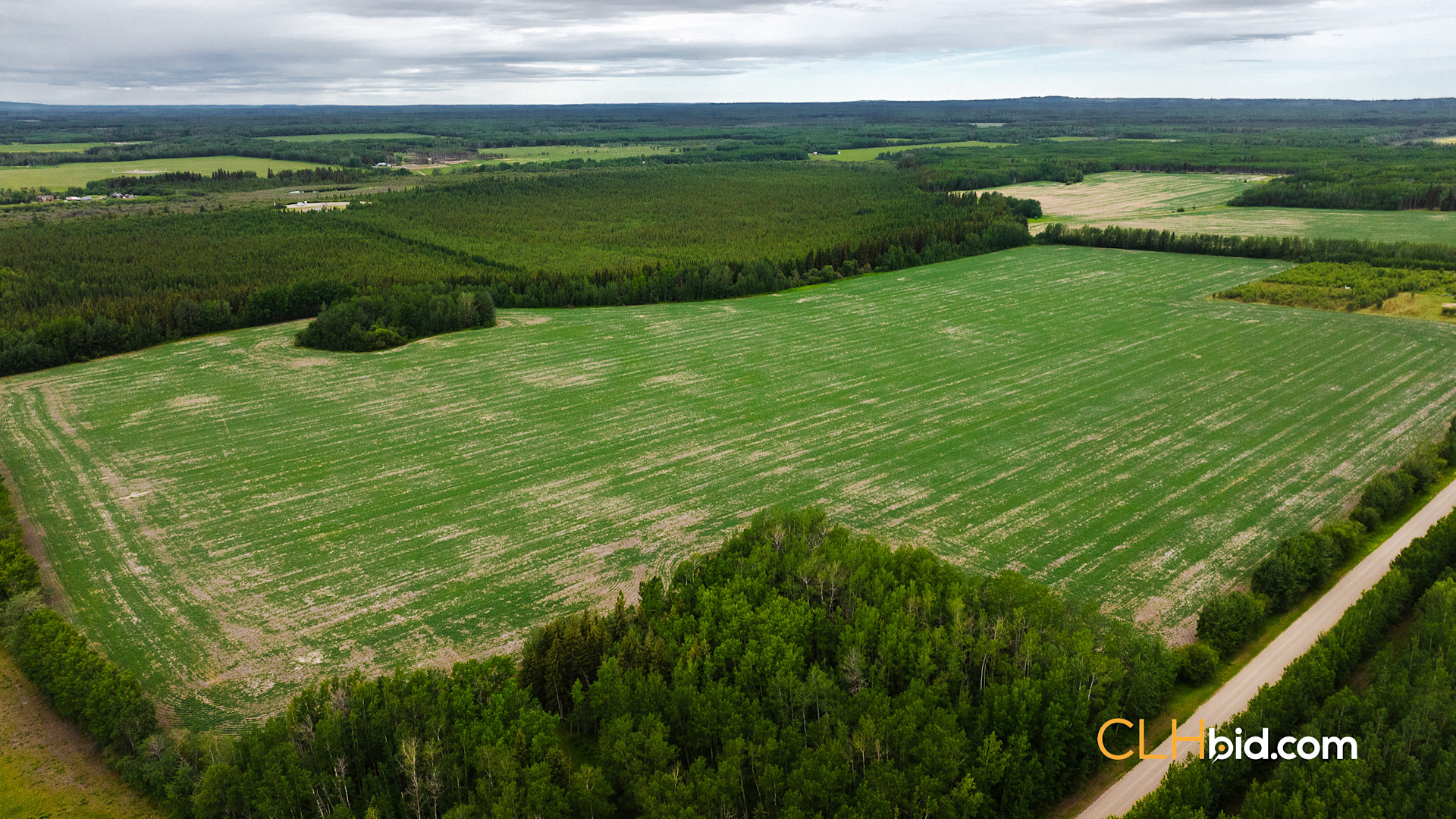 Web Triple Off Hwy 59-5