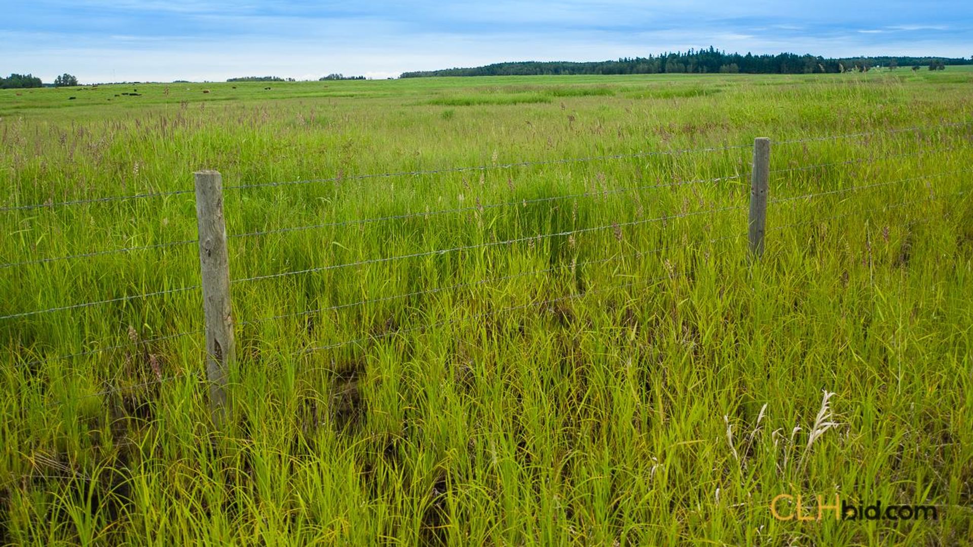 warburgdoubletree-2-13