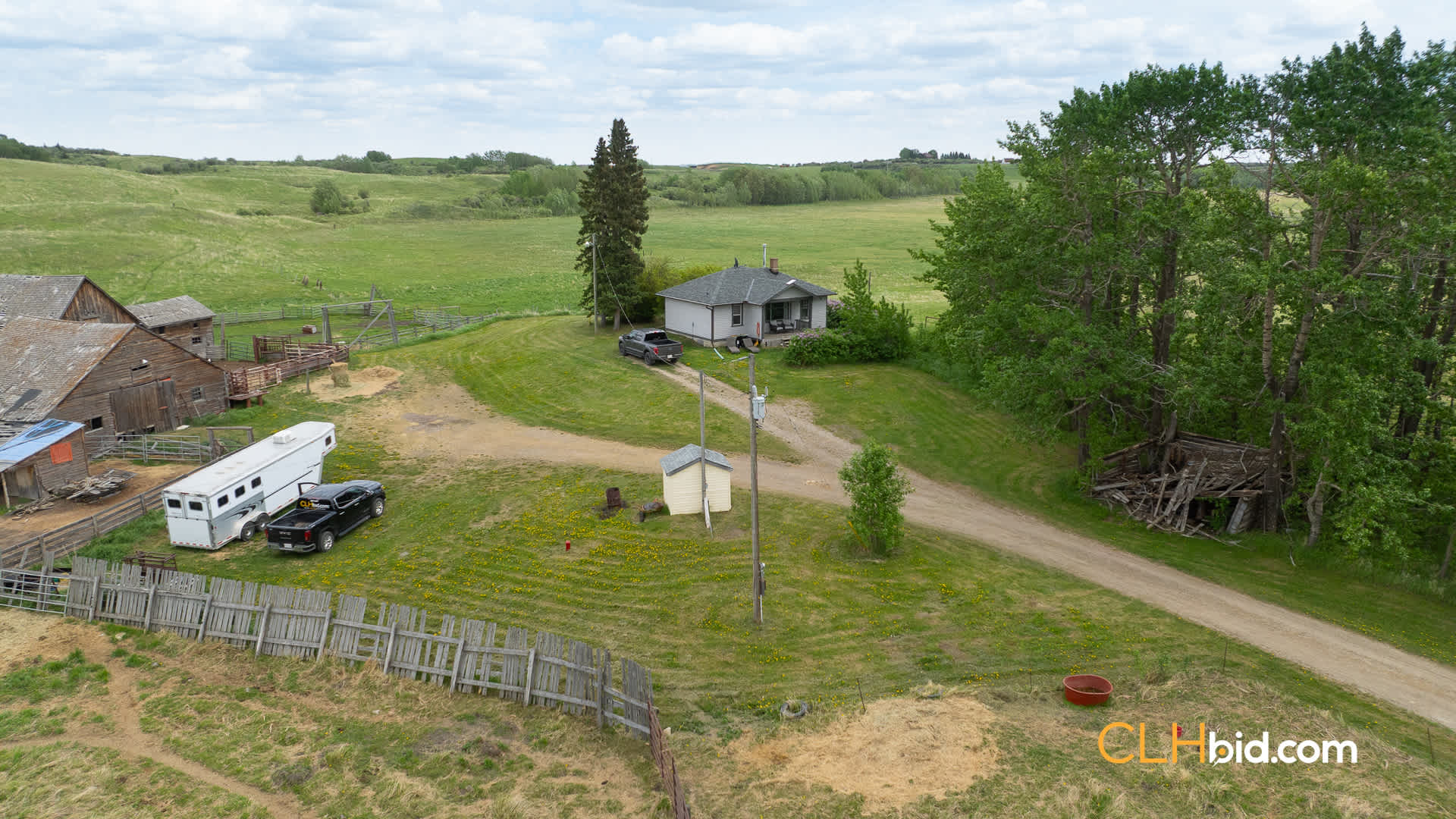 Web-Bearspaw-28