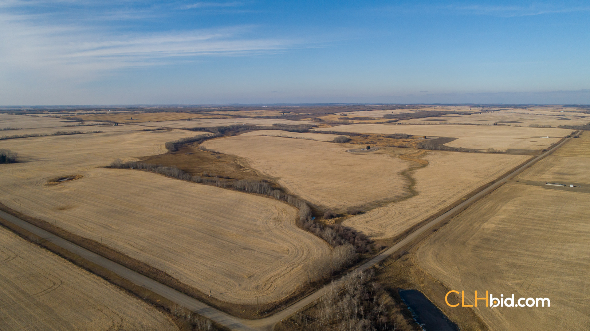 Web-Nine-Of-Diamonds-12