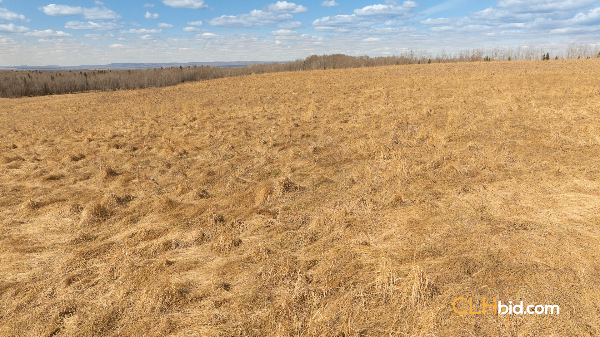 Web-GrazingGroundsNEW-6