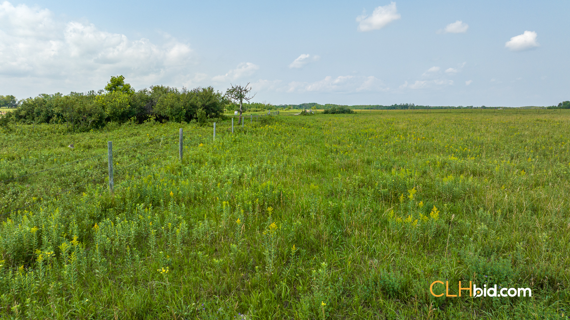 Web-Virden-Select-17