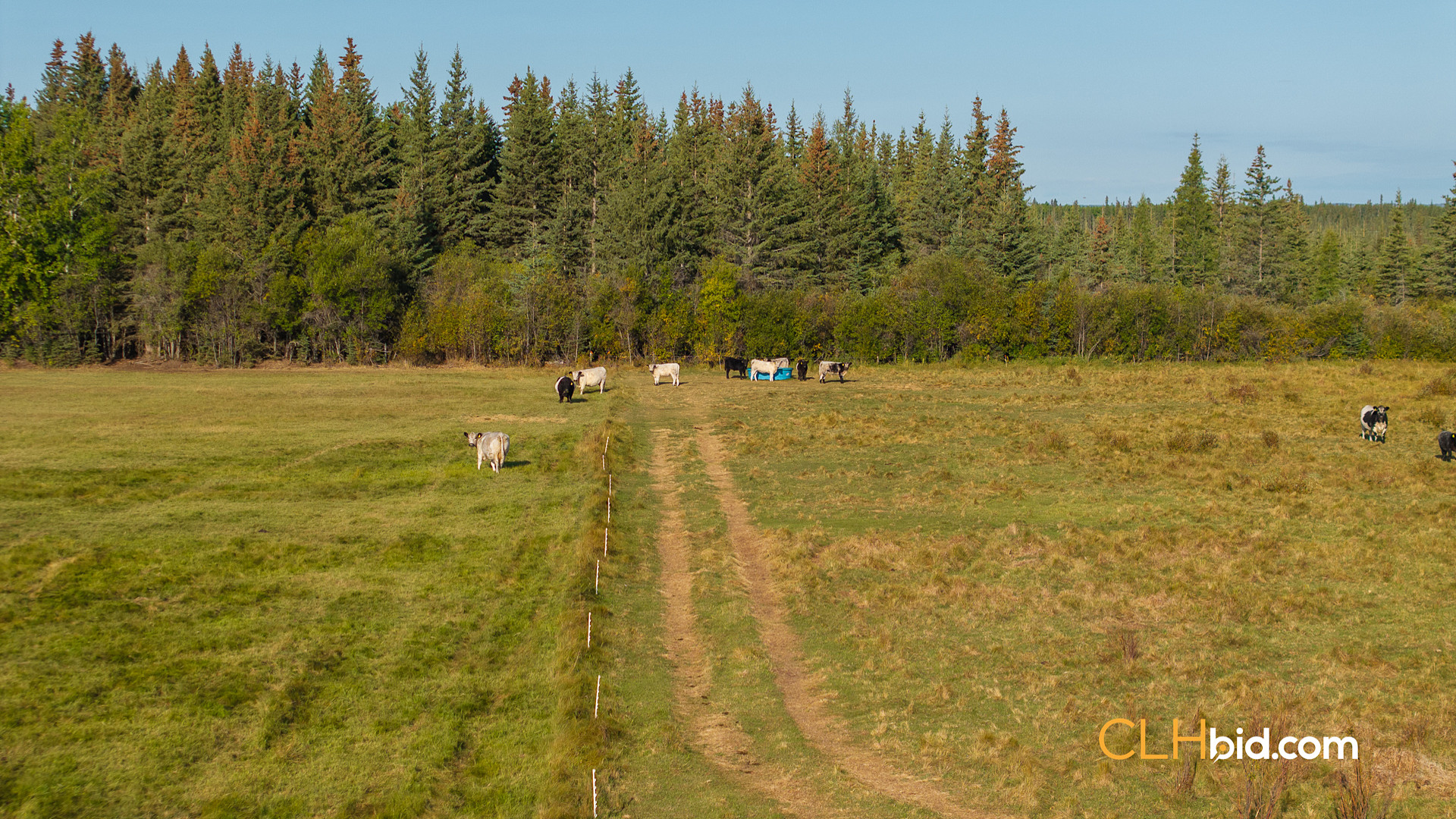 Web Bear Creek Bend-17