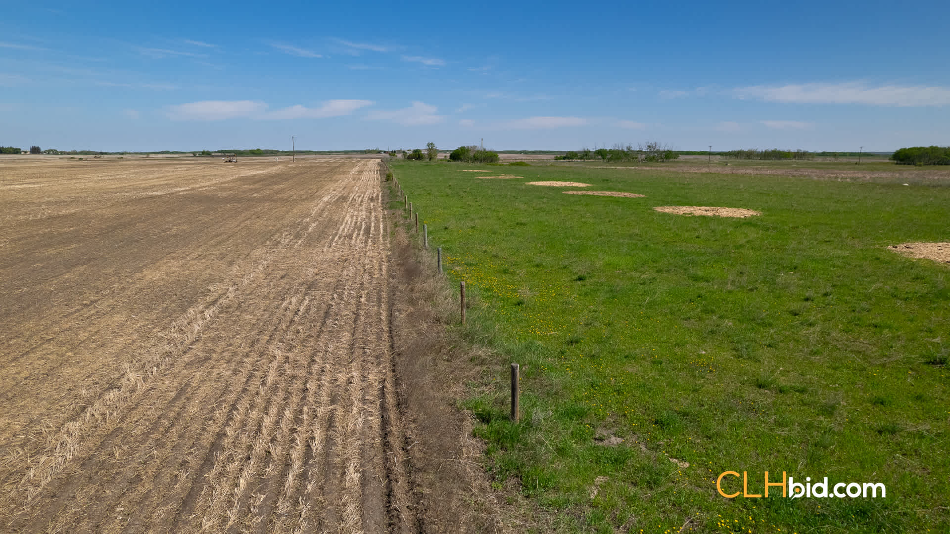 View from above of Cash Crop N' Cows