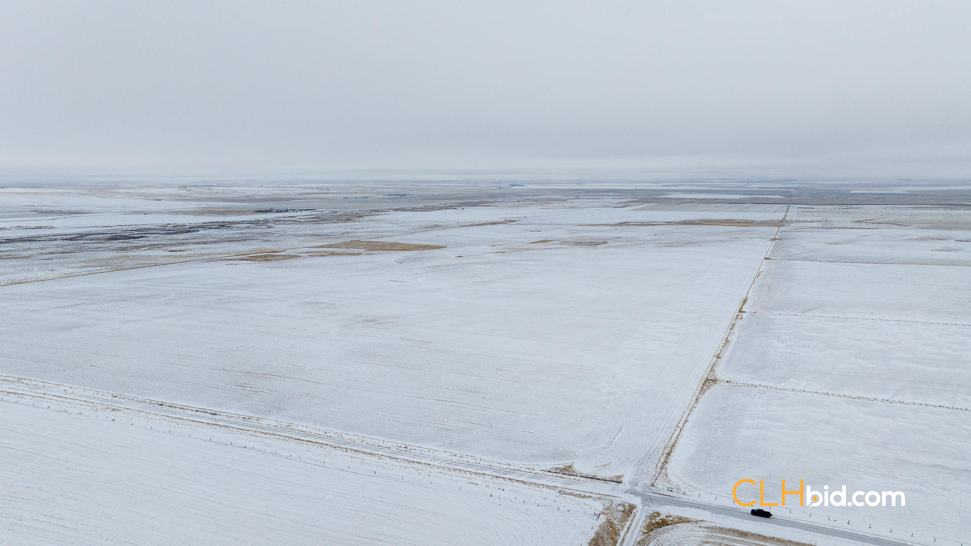 Web-Hazenmore-On-My-Mind-2