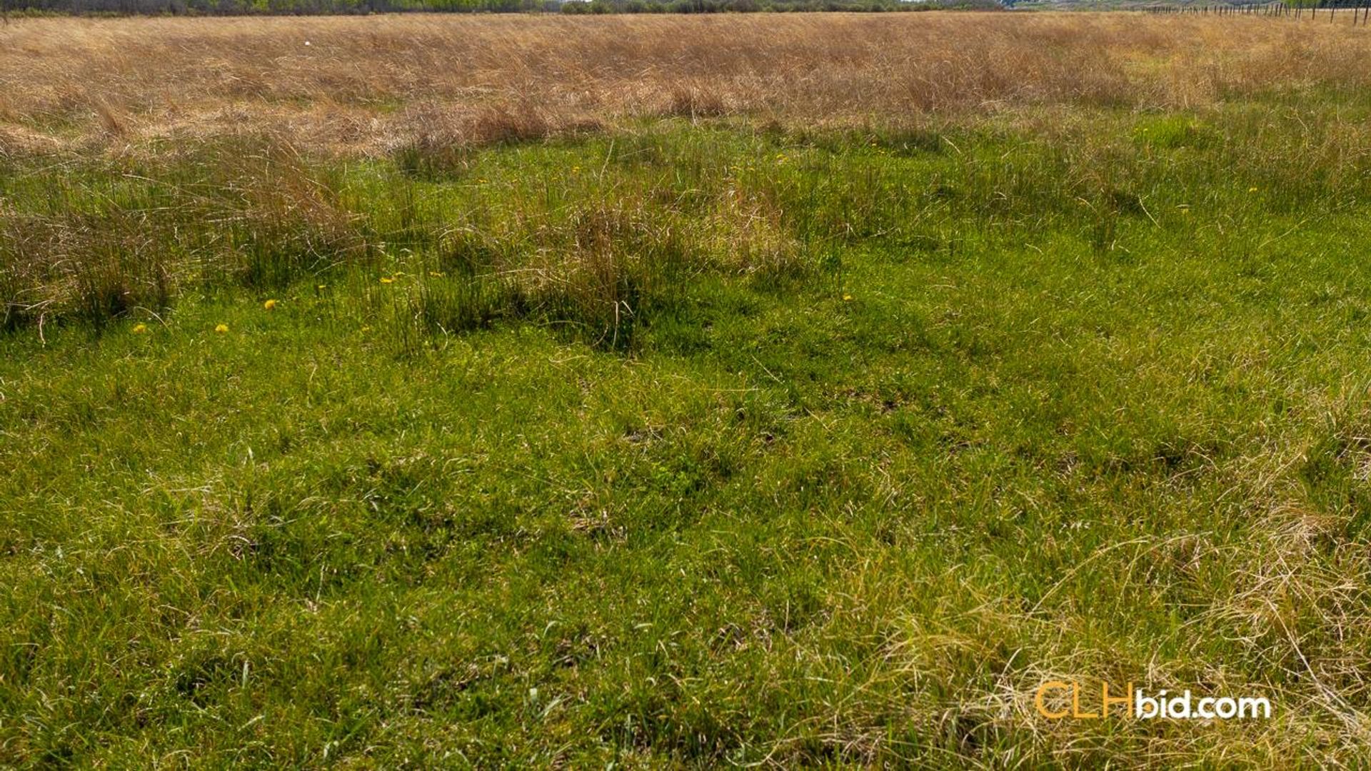 twohillsthreeopportunities-2-2