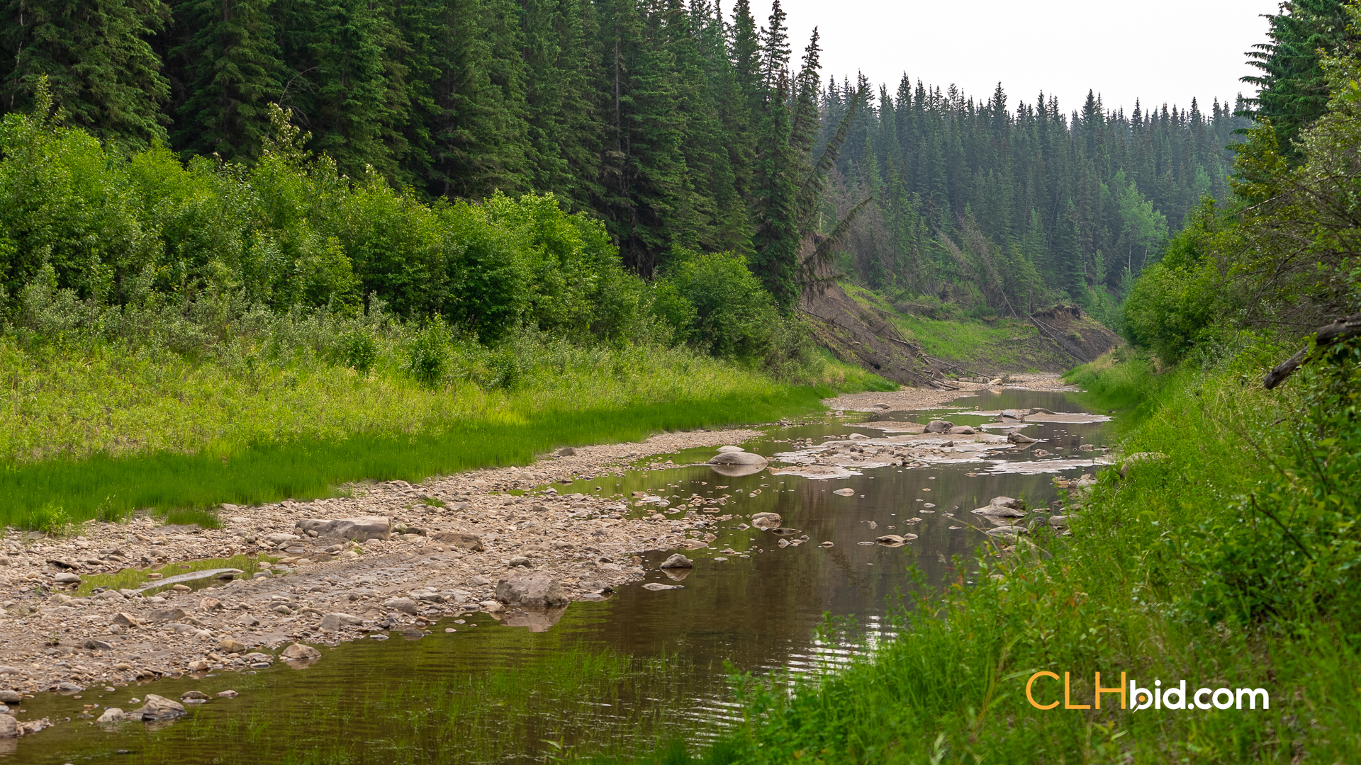 Web Off The Radar-12