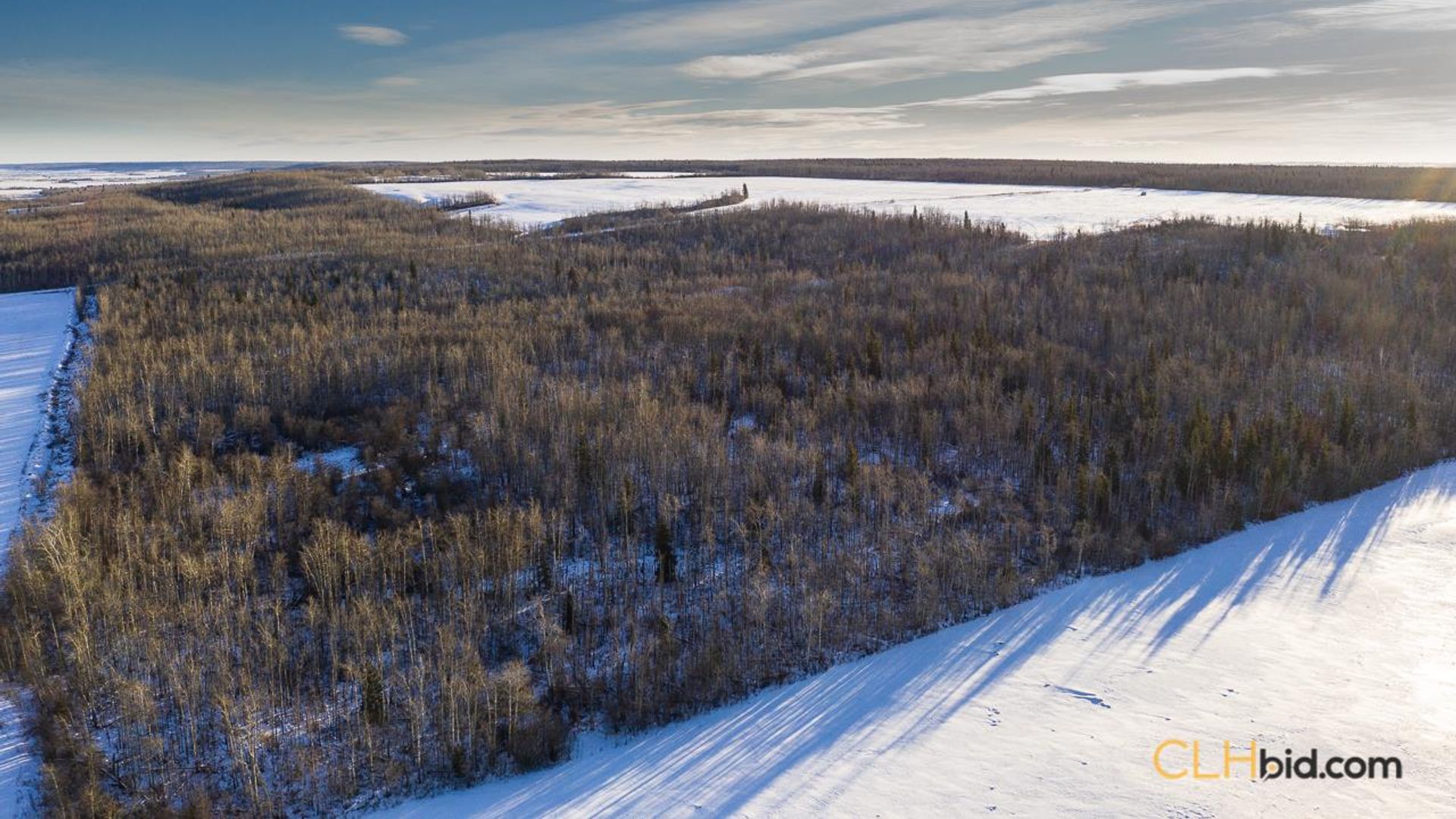 dreamershalfmile-1-12