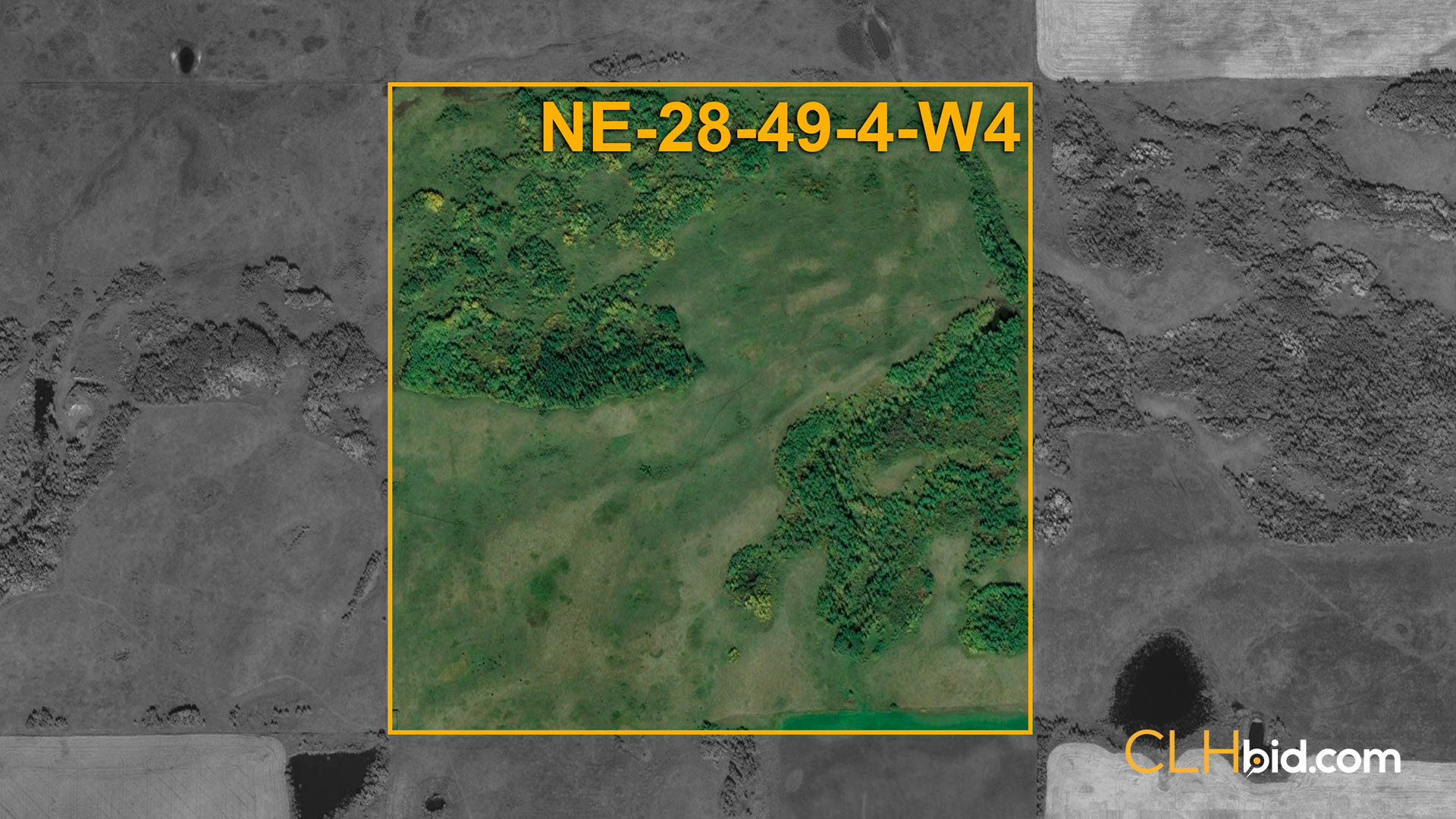 Web Lofty Rancher Aerial