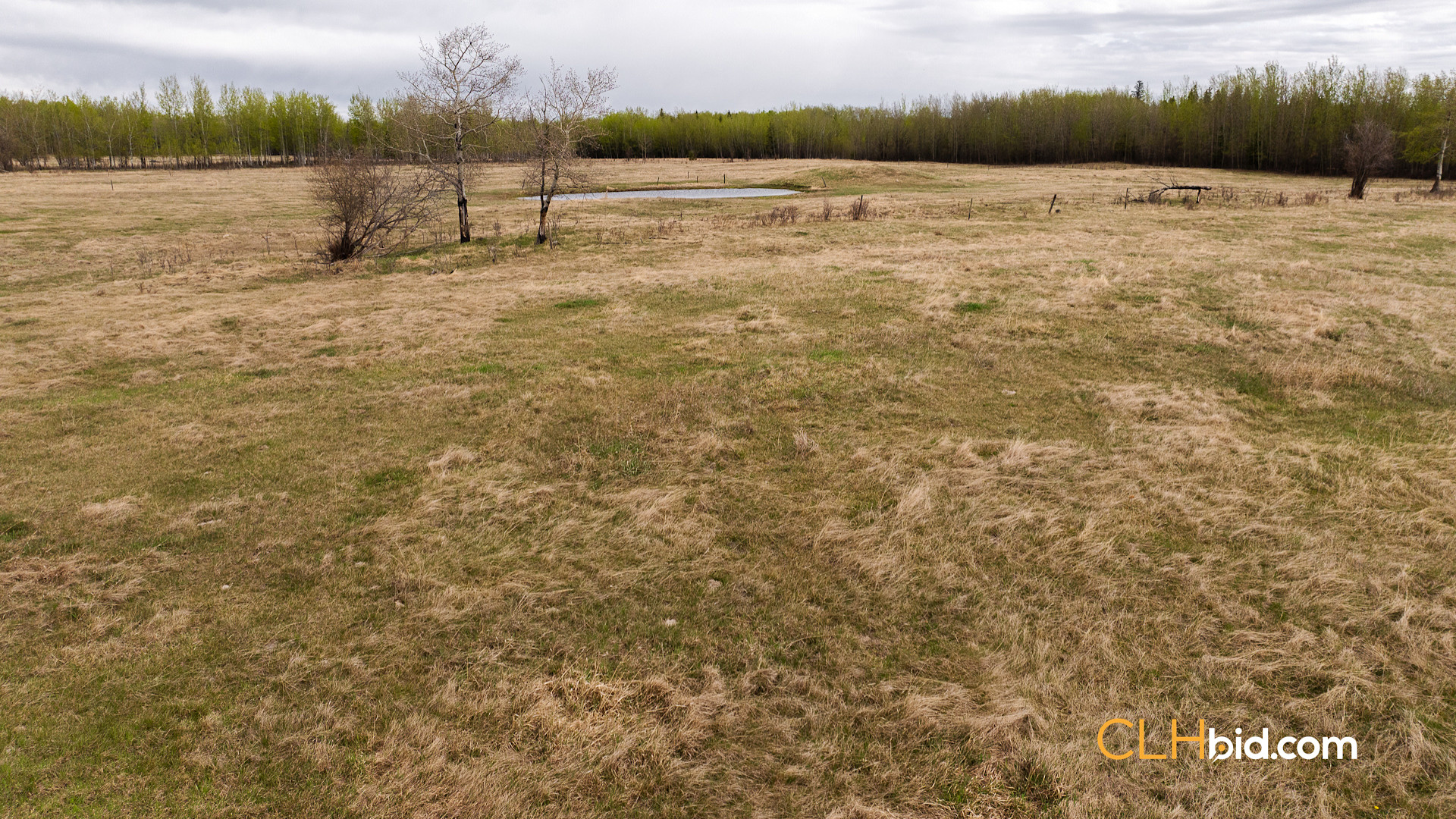 Web Deer Hill Homer Spring-9