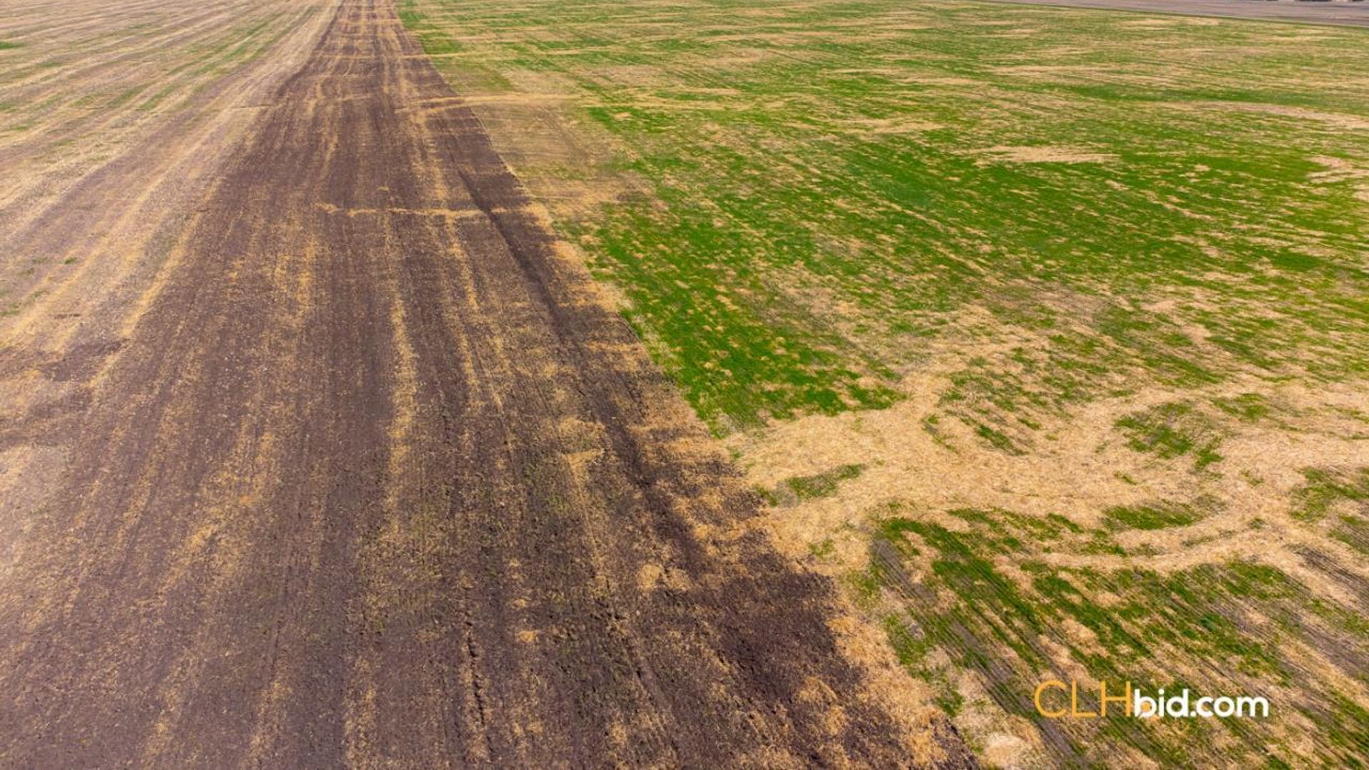 thelongmilevegreville-1-5