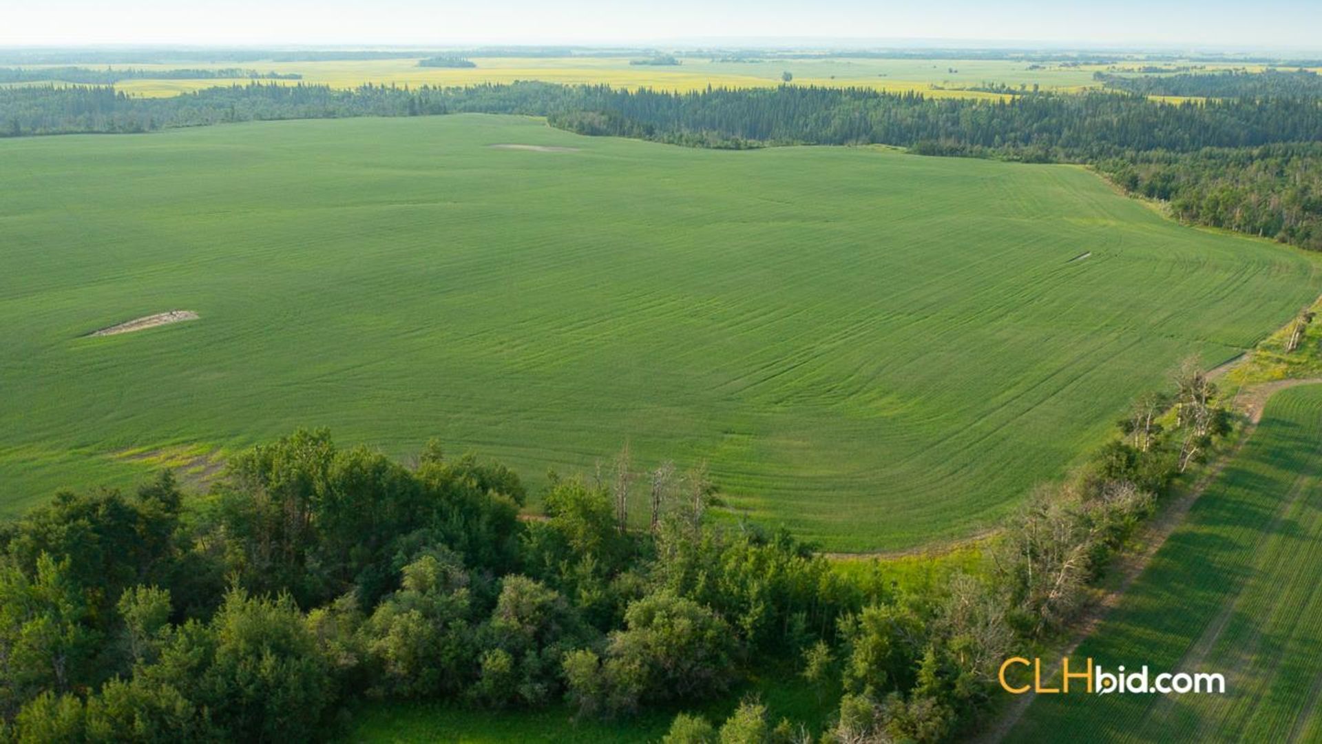 directlinelassiterroad-2-4