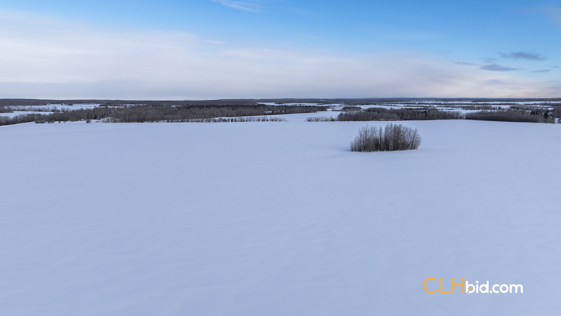 Web Unrestrained Funky-5