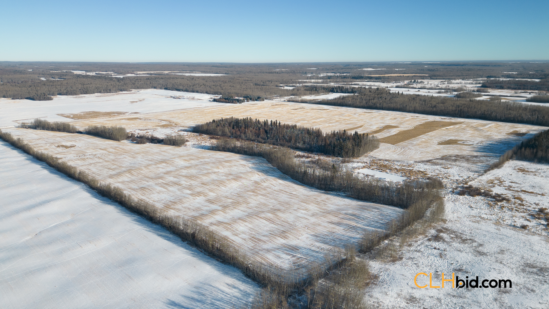 Web-ThorhildExpress-2