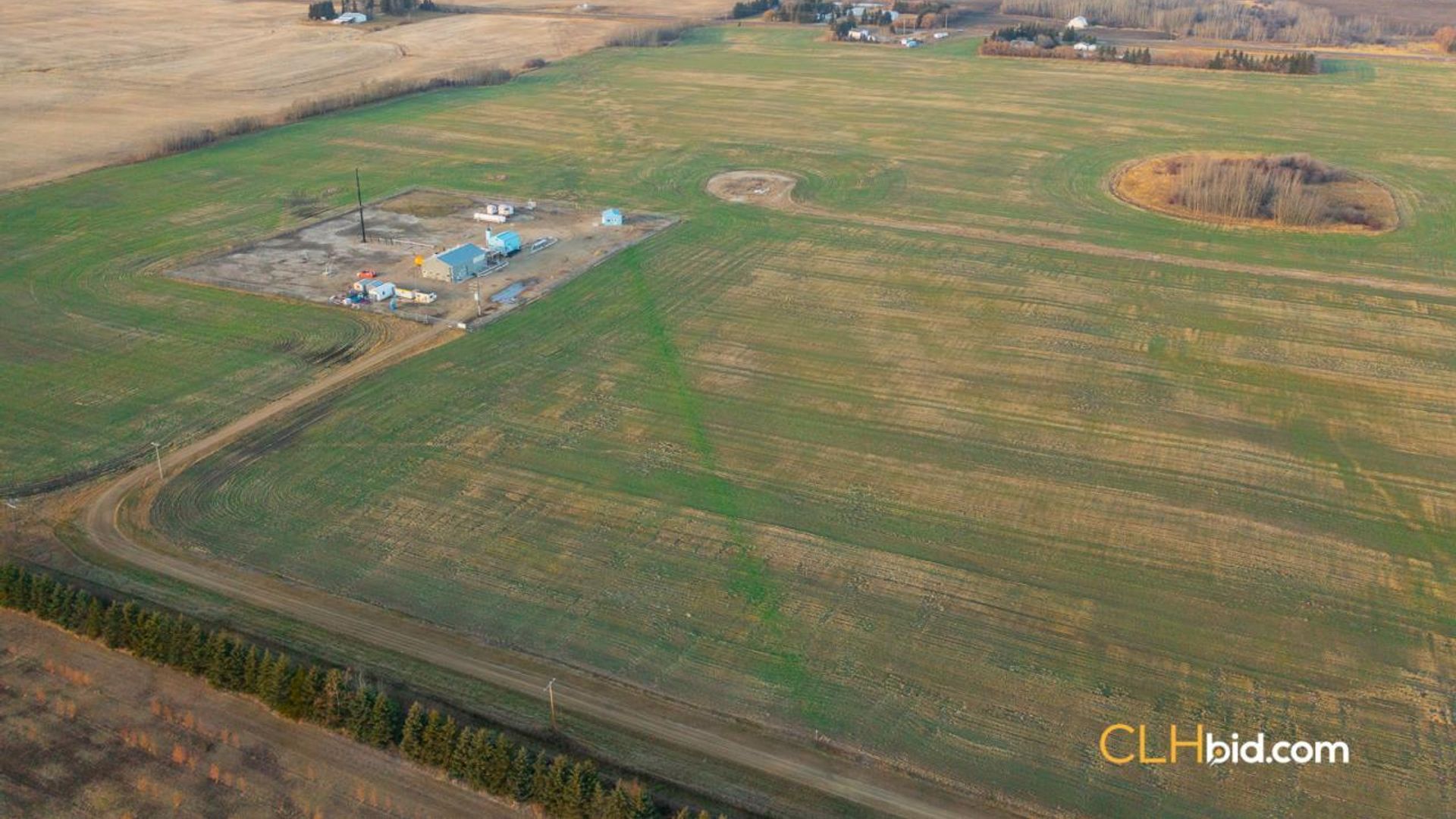 landyoursturgeon-2-7