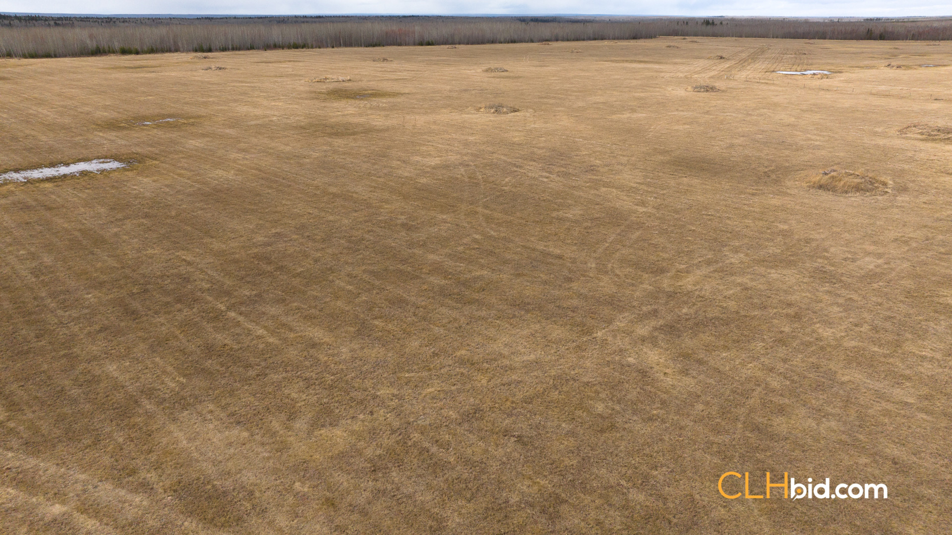 Web-RanchersChoice-10