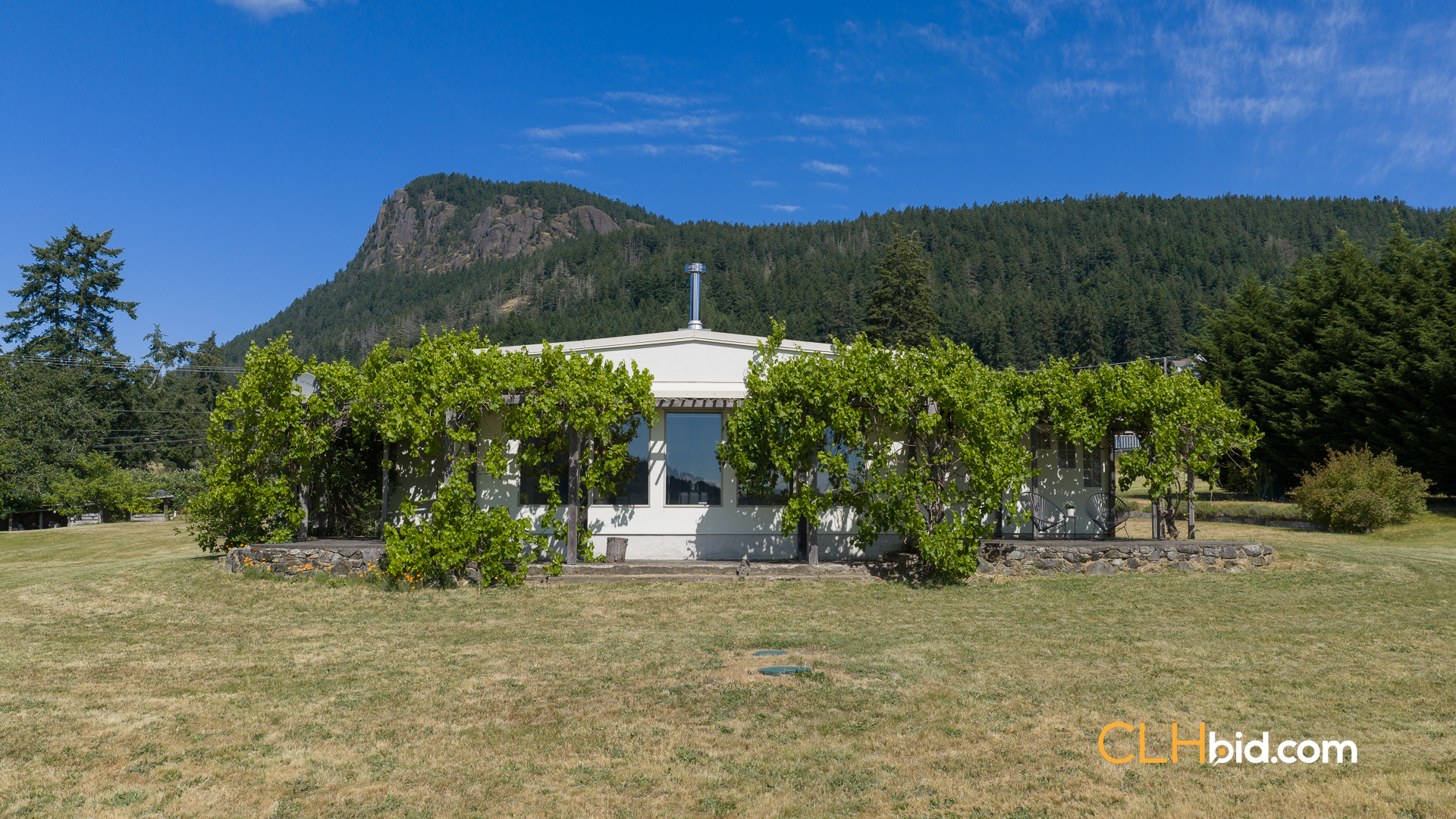Web-OliveFarmLandNew-4