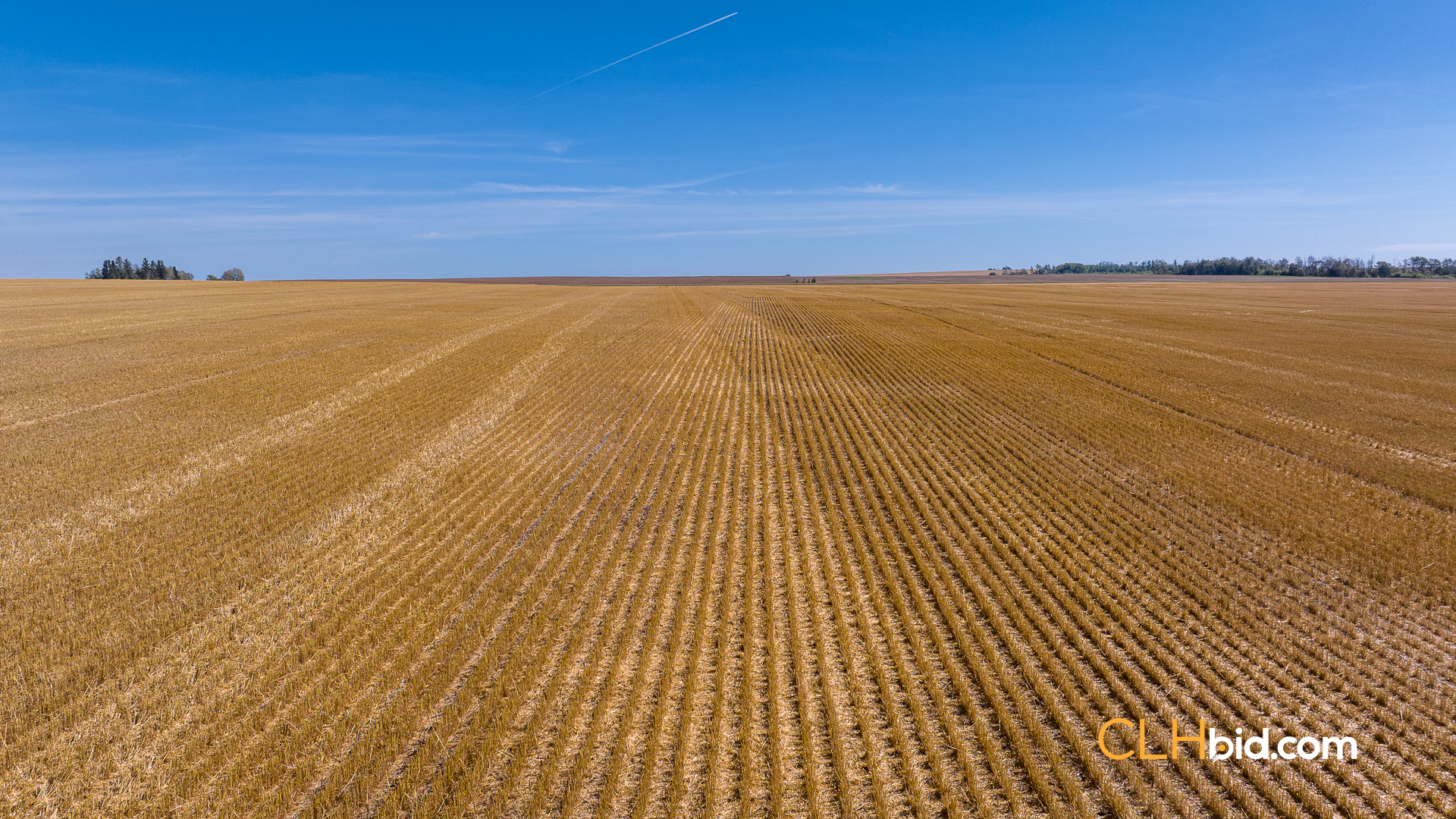 Web-Tisdale-Titan-21