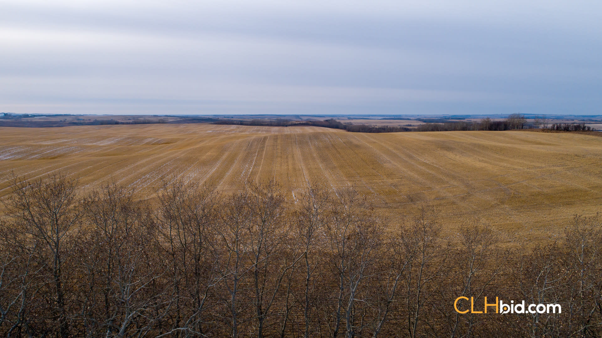 Web-Top-Shelf-160-13