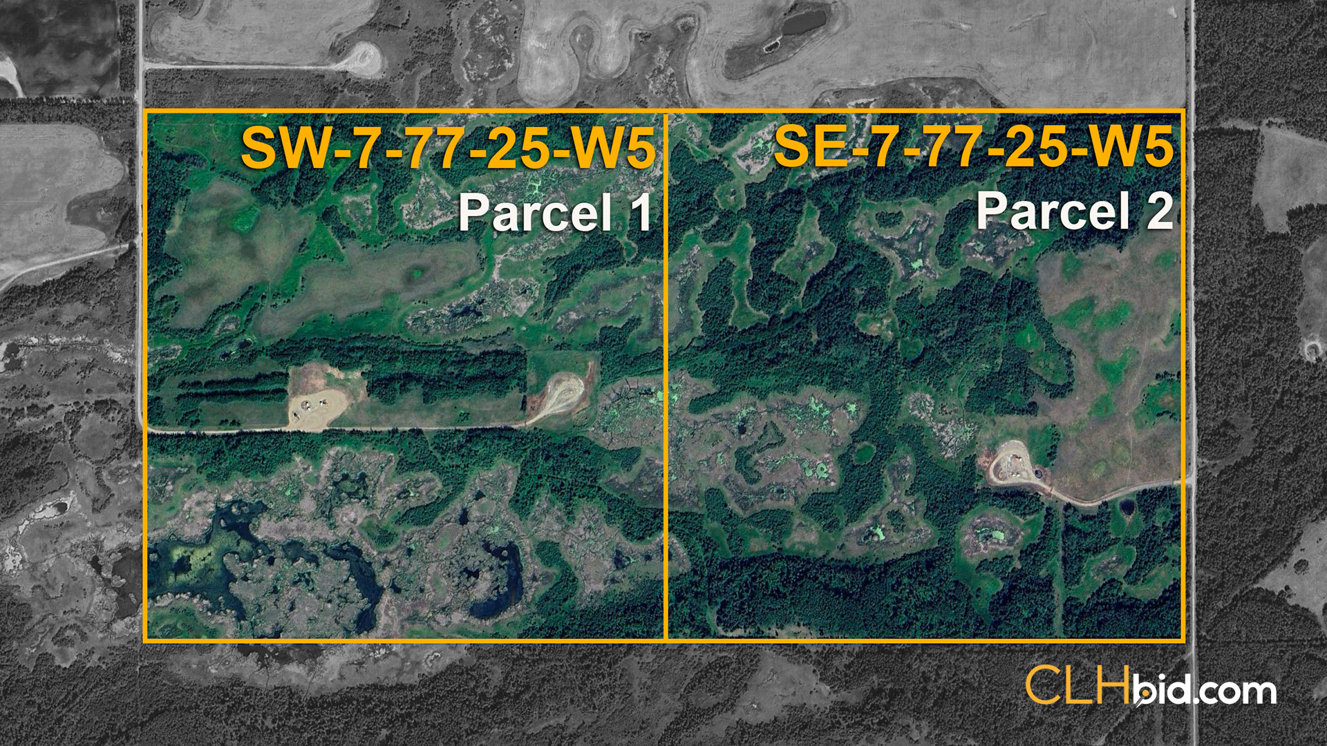 Marjorie-320-OVERVIEW
