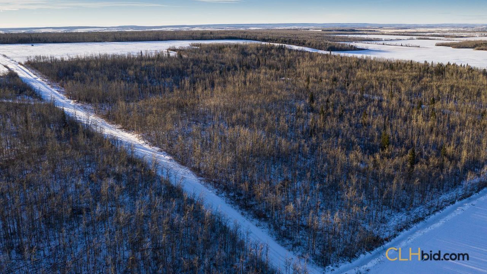 dreamershalfmile-1-14