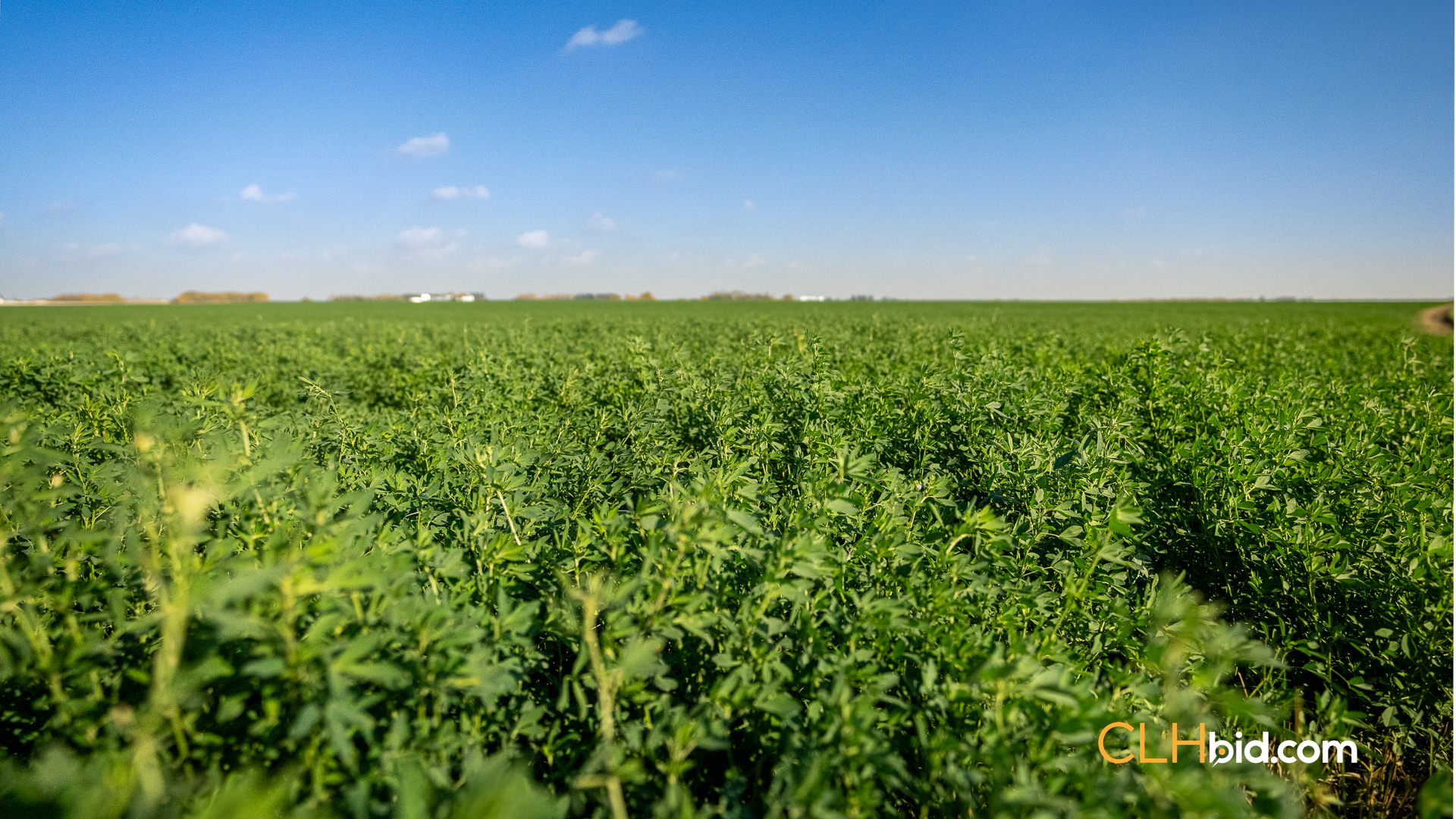 Cream Of The Crop - Parcel 1