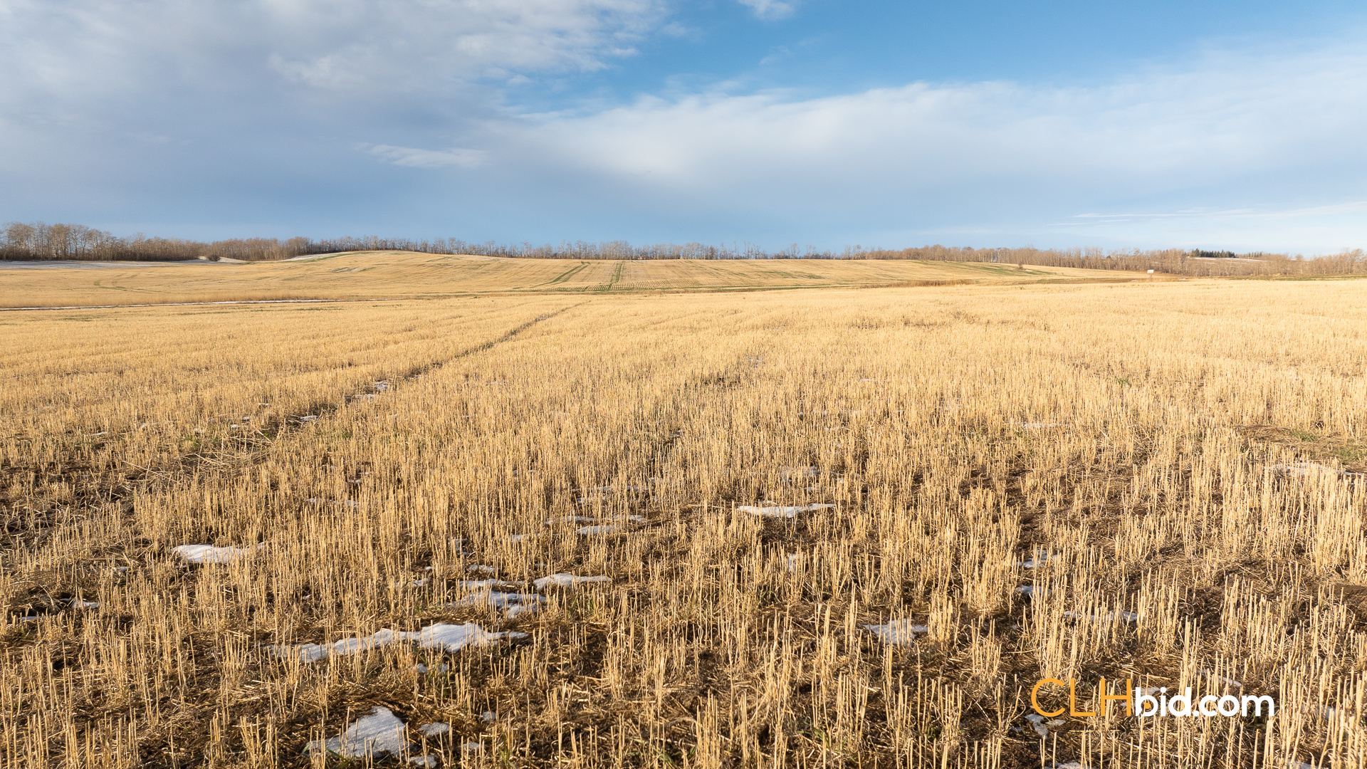 Web-BentleyClassic2-13