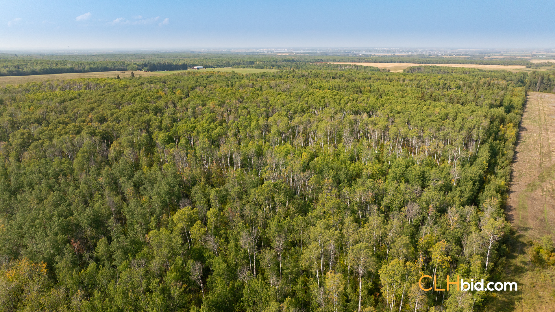 Web-SmallTownCharm-22