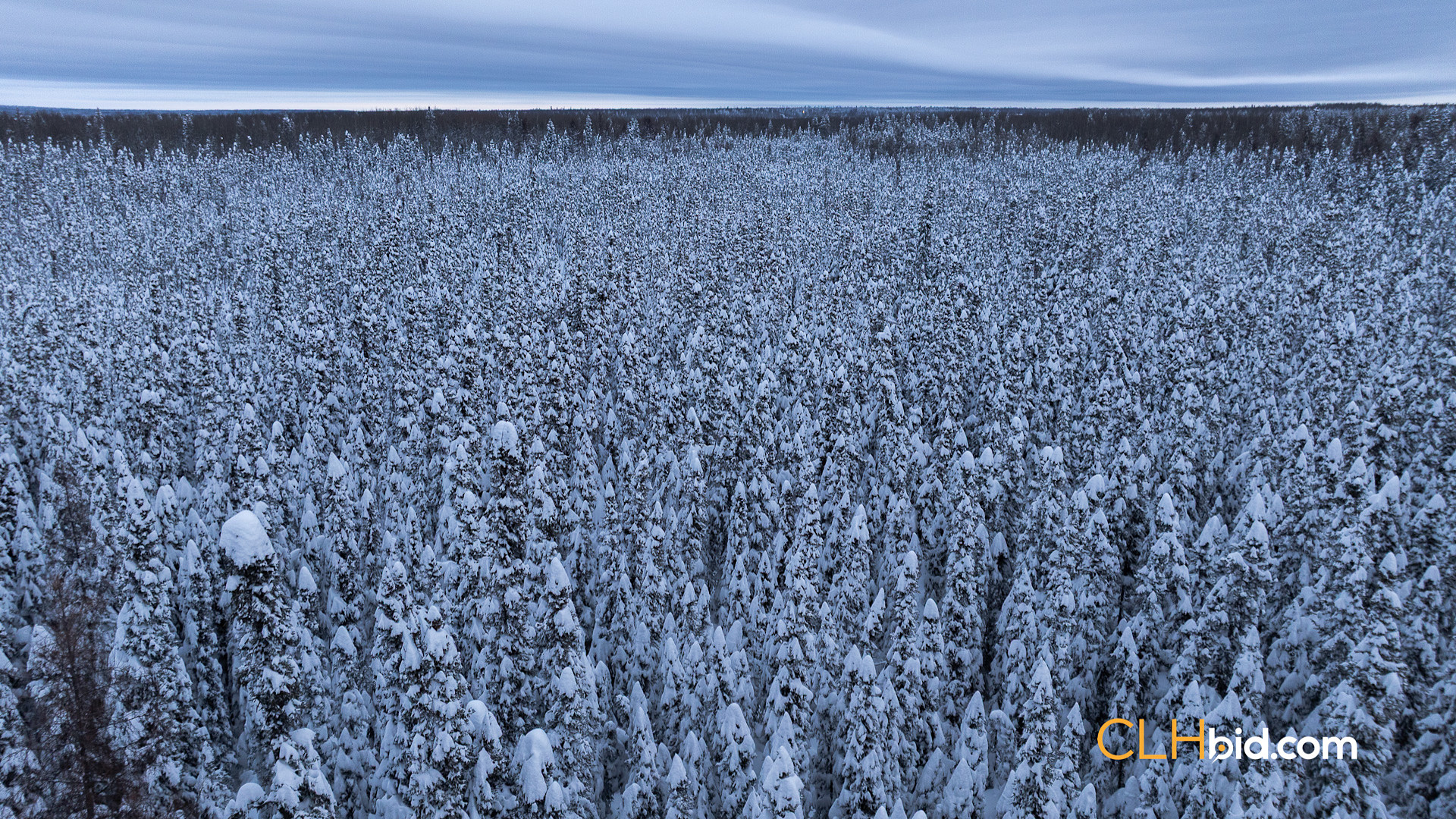 Web Moonshine Hideaway P1-6