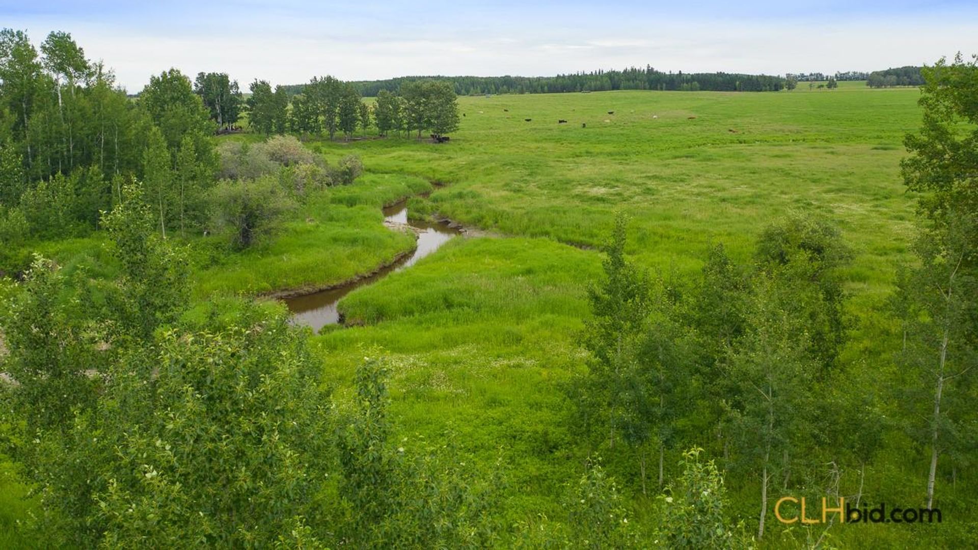 warburgdoubletree-2-3