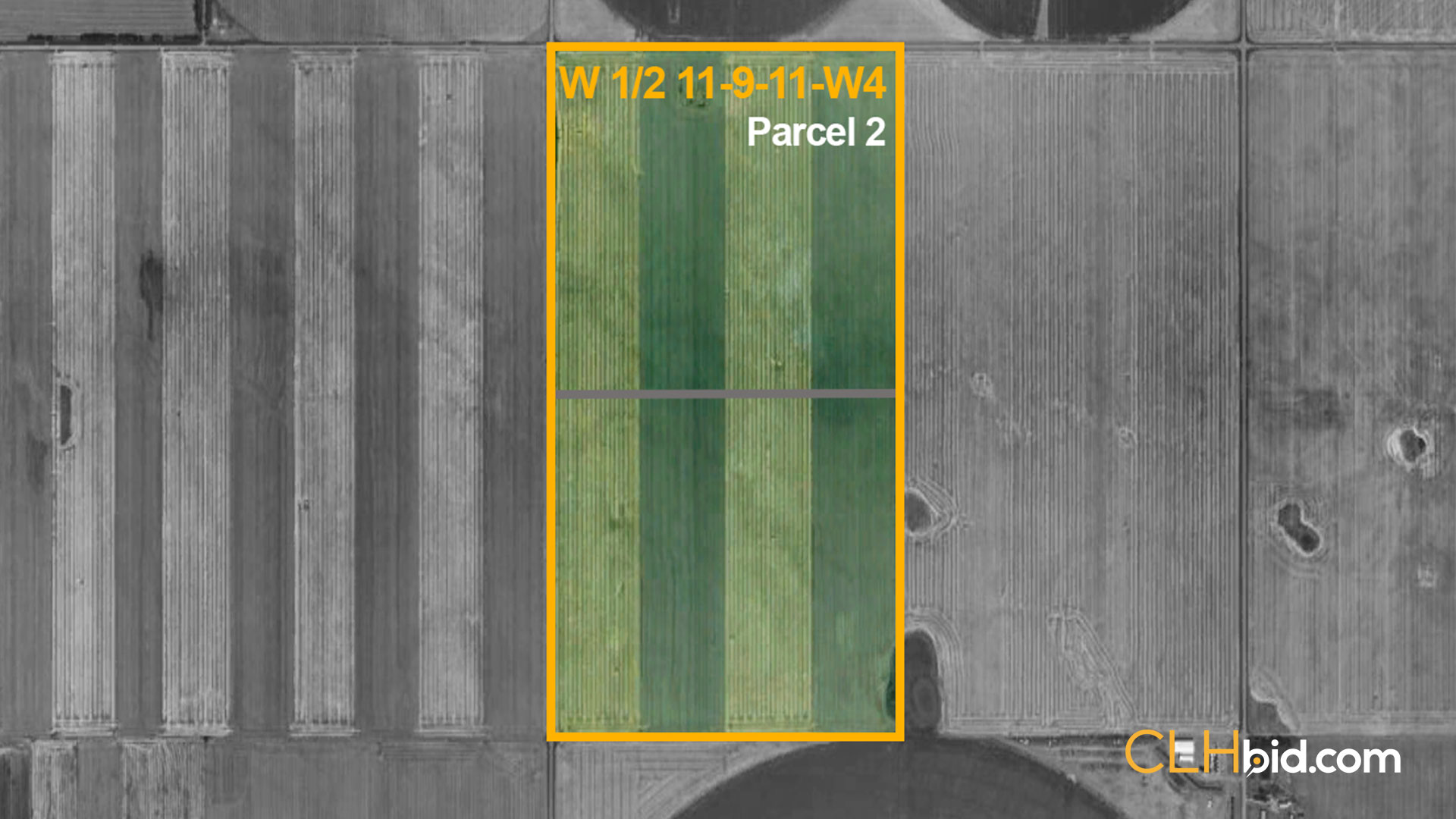 P2-Bow-Island-Pivotal