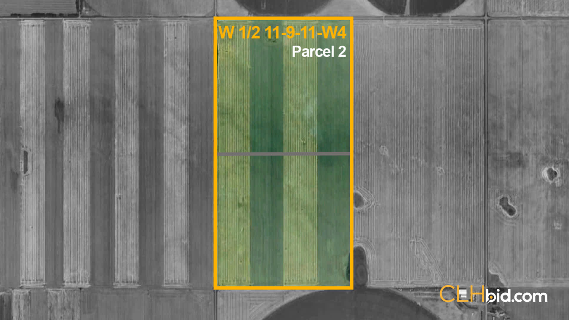 P2-Bow-Island-Pivotal
