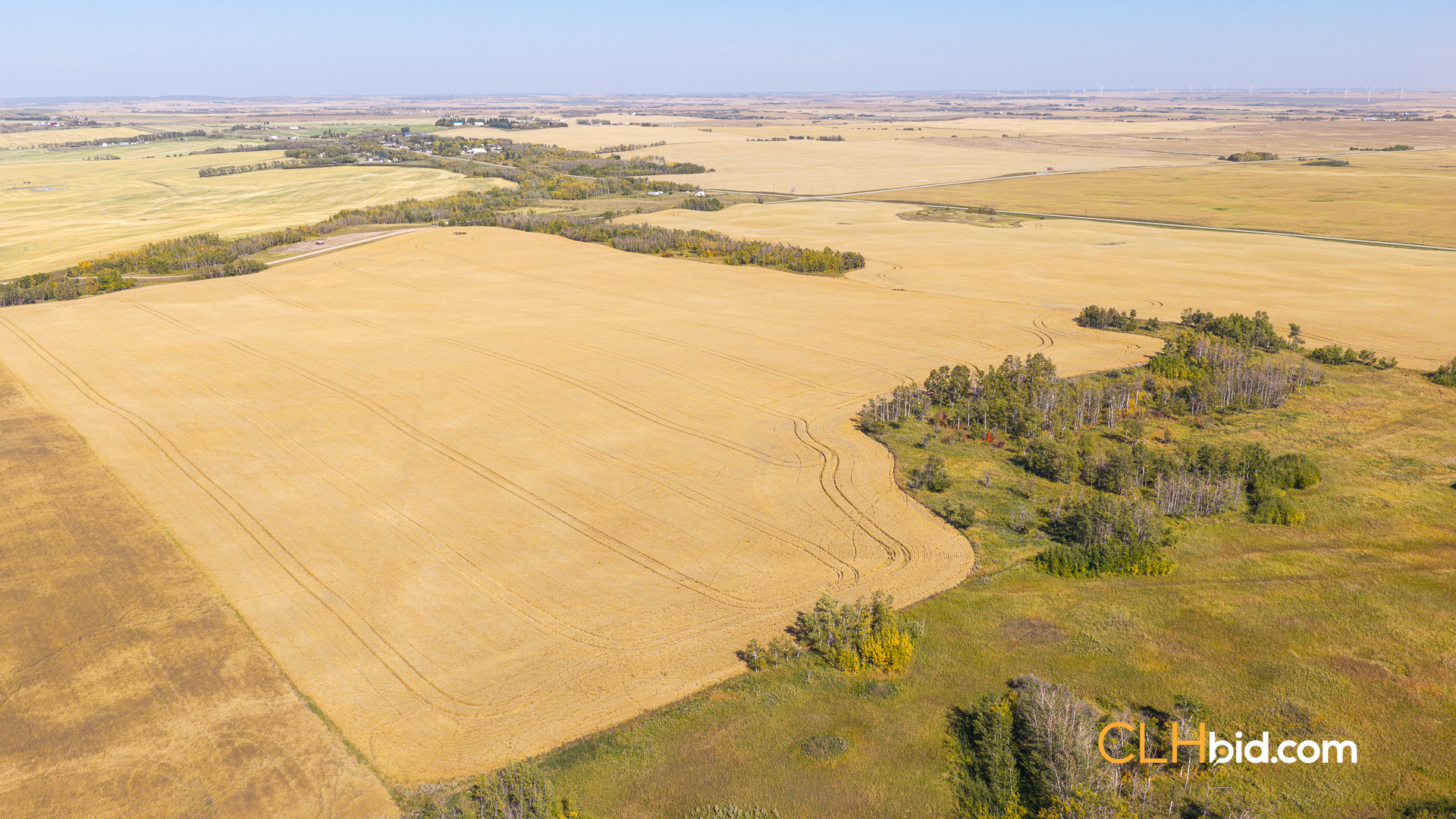 View from above of Wimborne Proper