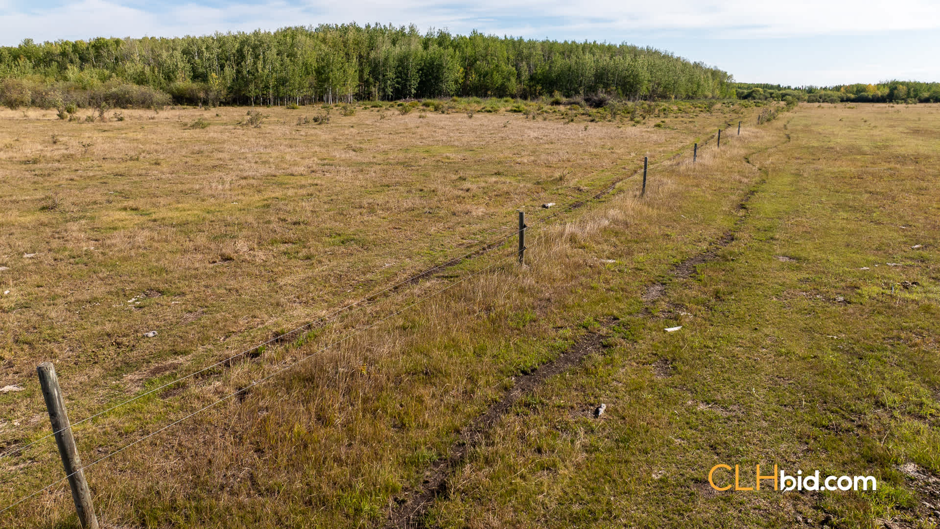 Web Peace Country Rancher-9