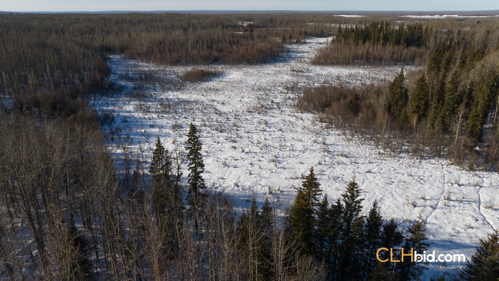 SummerCowCamp-WebWide-5