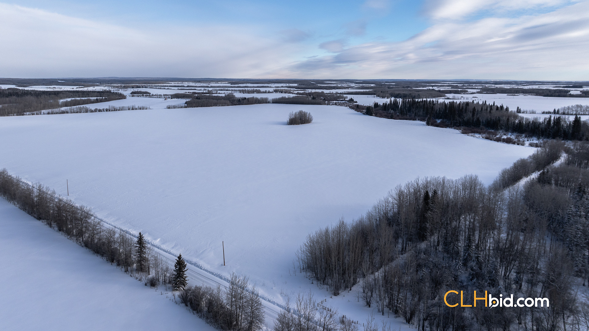 Web Unrestrained Funky-9