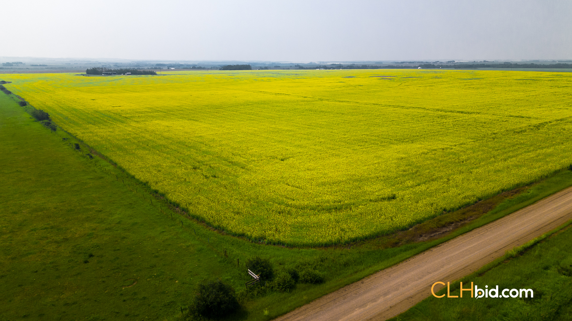 Web Sexsmith Serenity-7