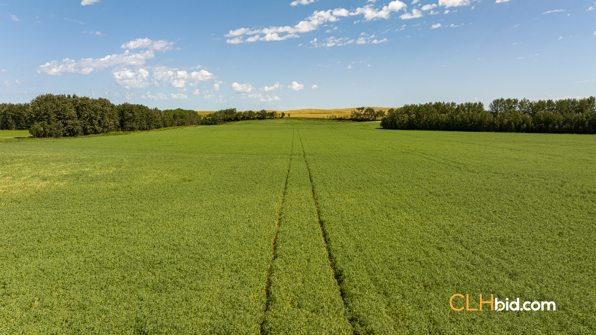 Web-Two-Hills-Next-Level-UPDATED-8