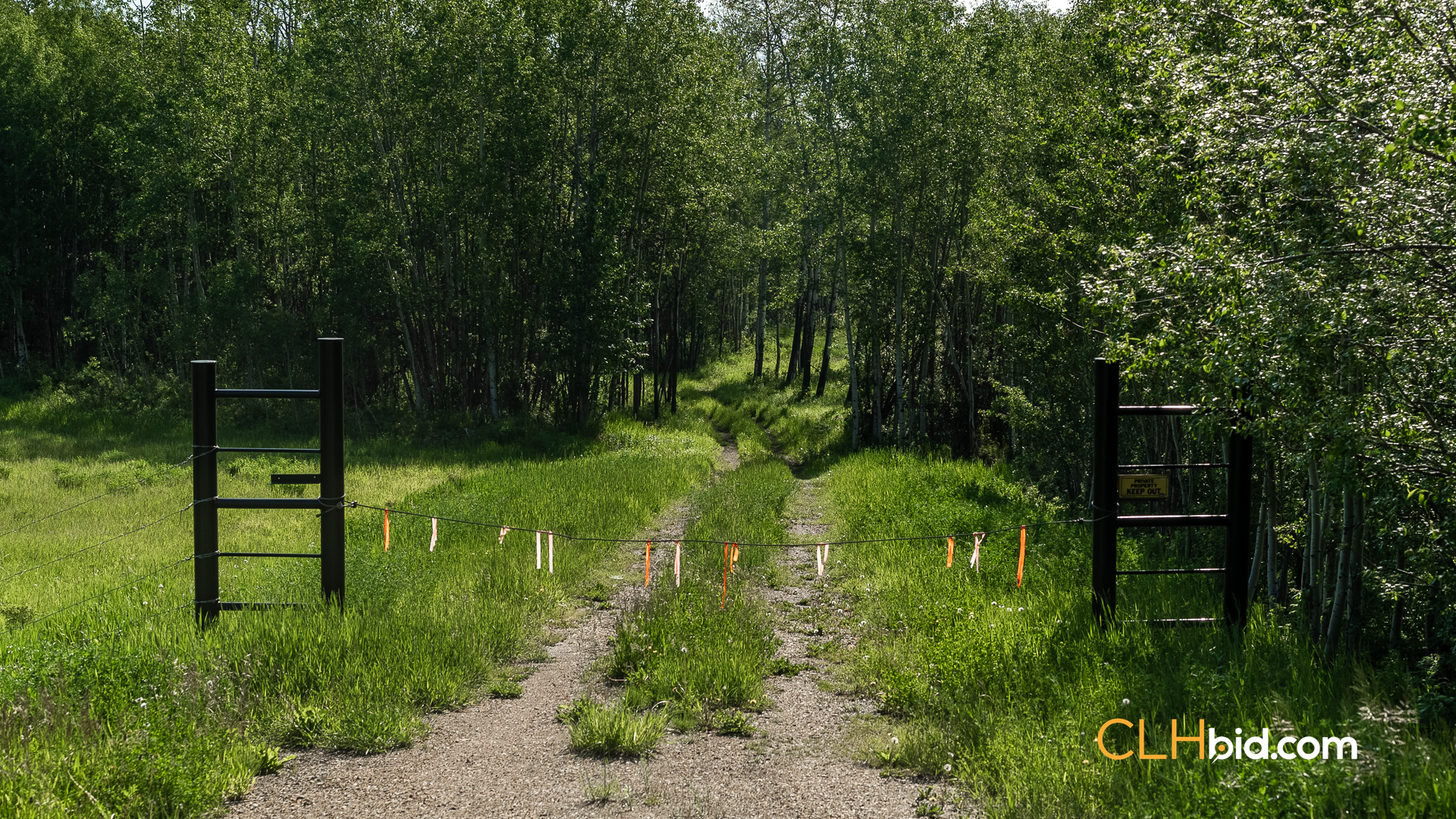 Web The Wild at Braden Rd-12