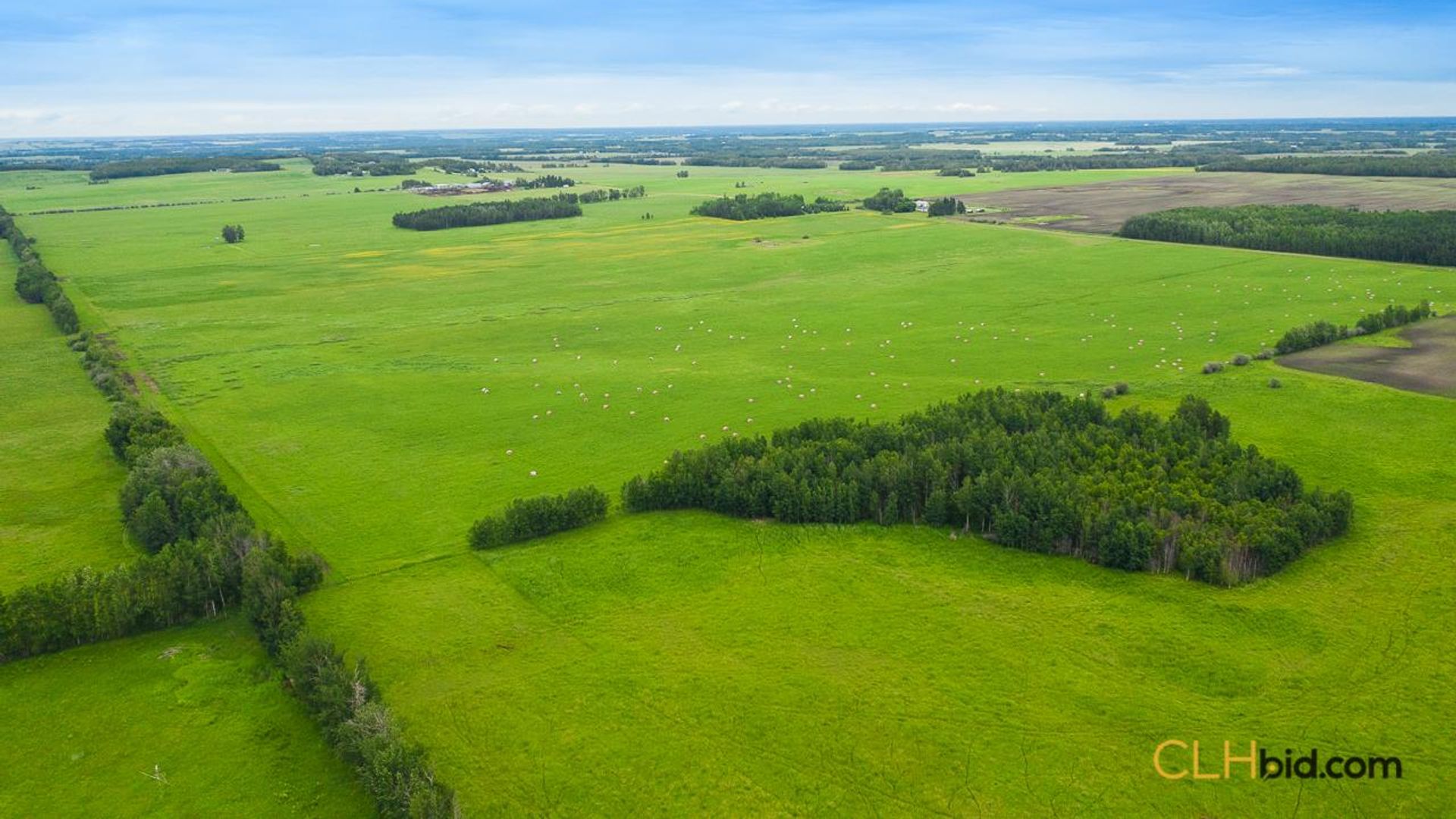 warburgdoubletree-1-2