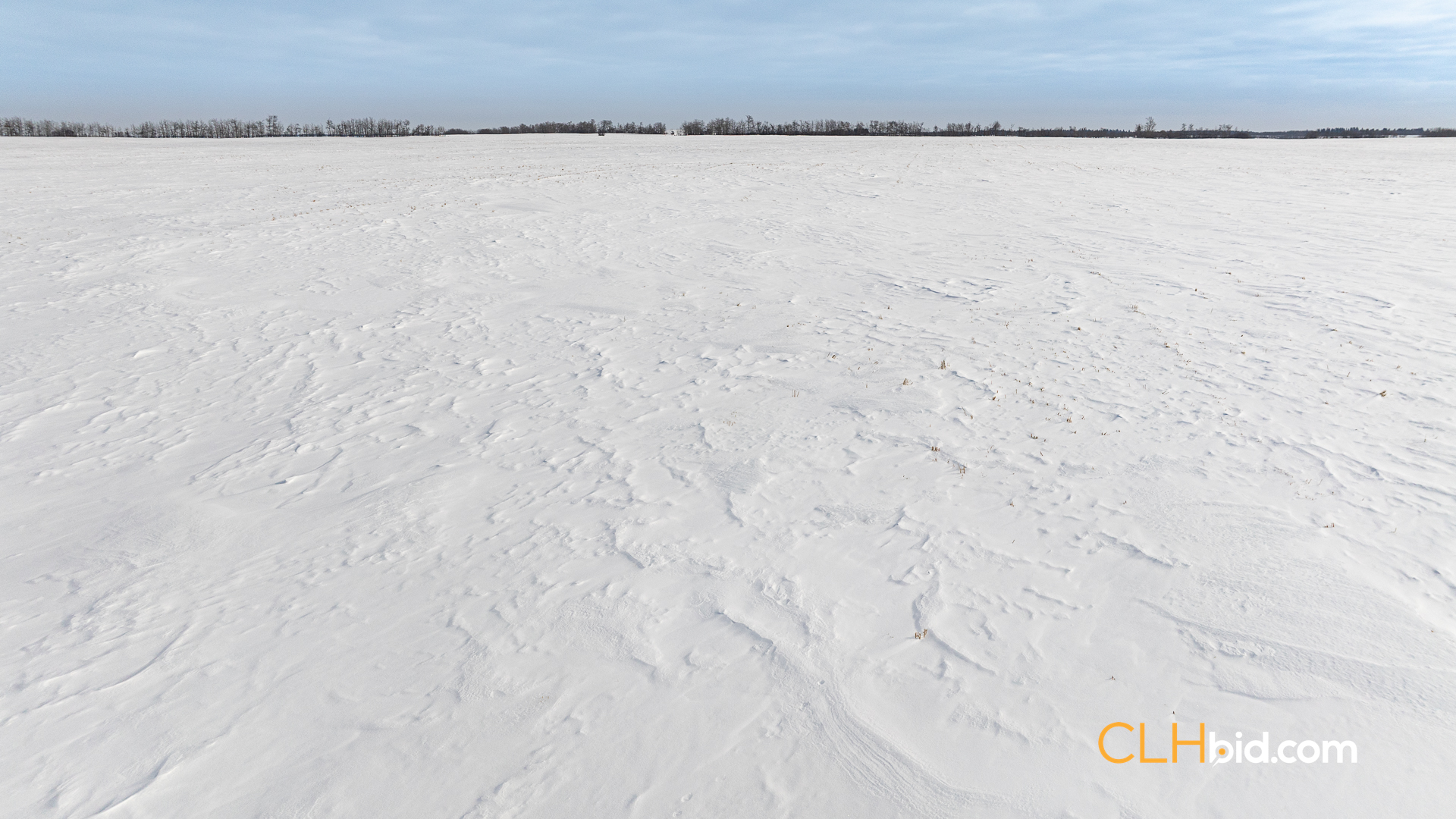 Web-LamontTopGrade-13