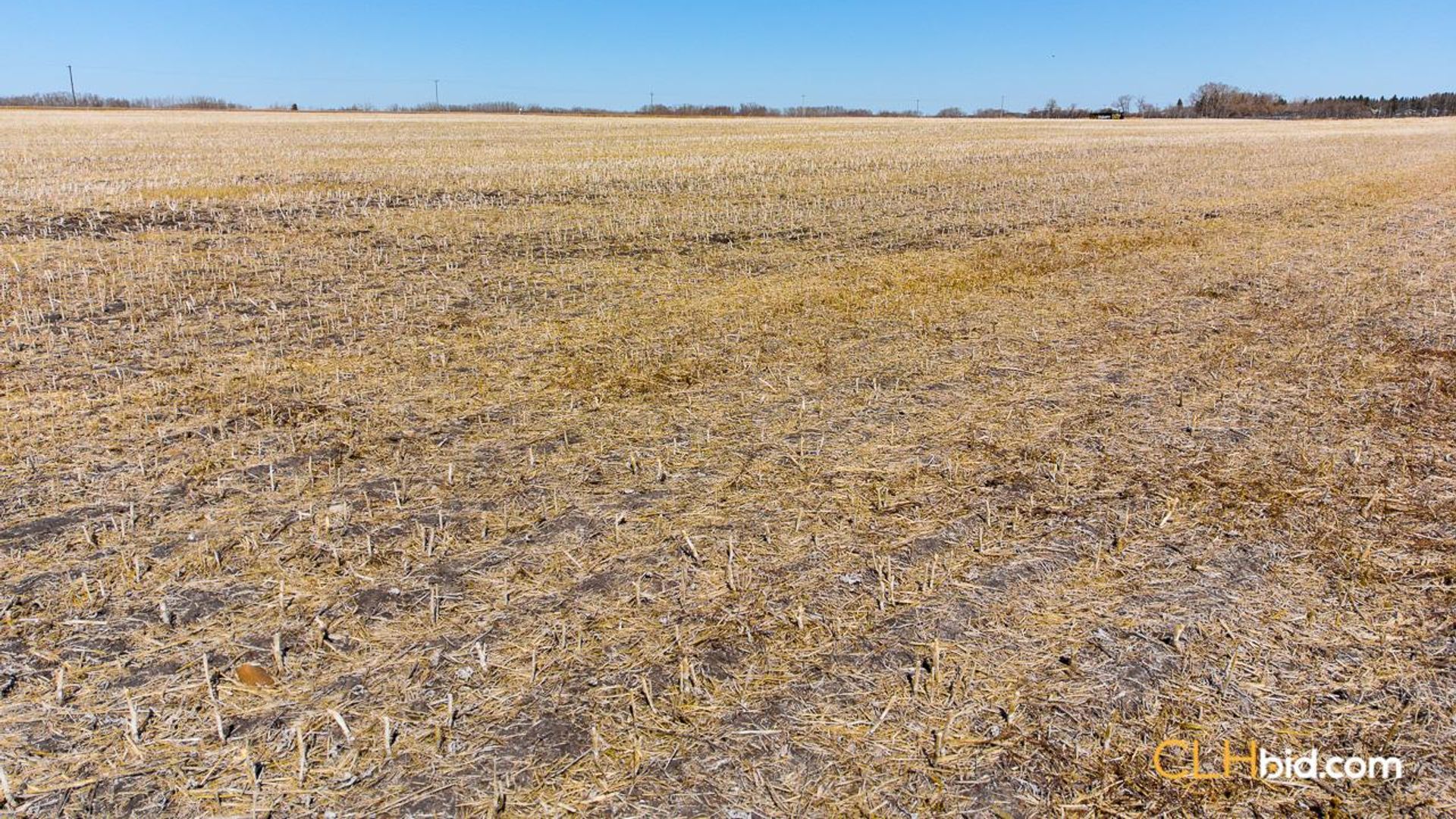 twohillsthreeopportunities-2-8