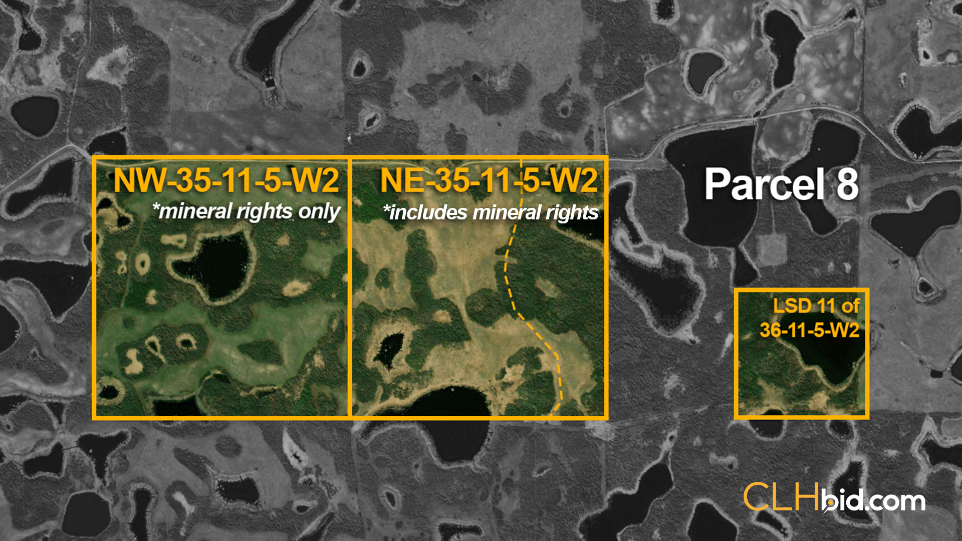 P8-NEW-NE-35-&-LSD-11