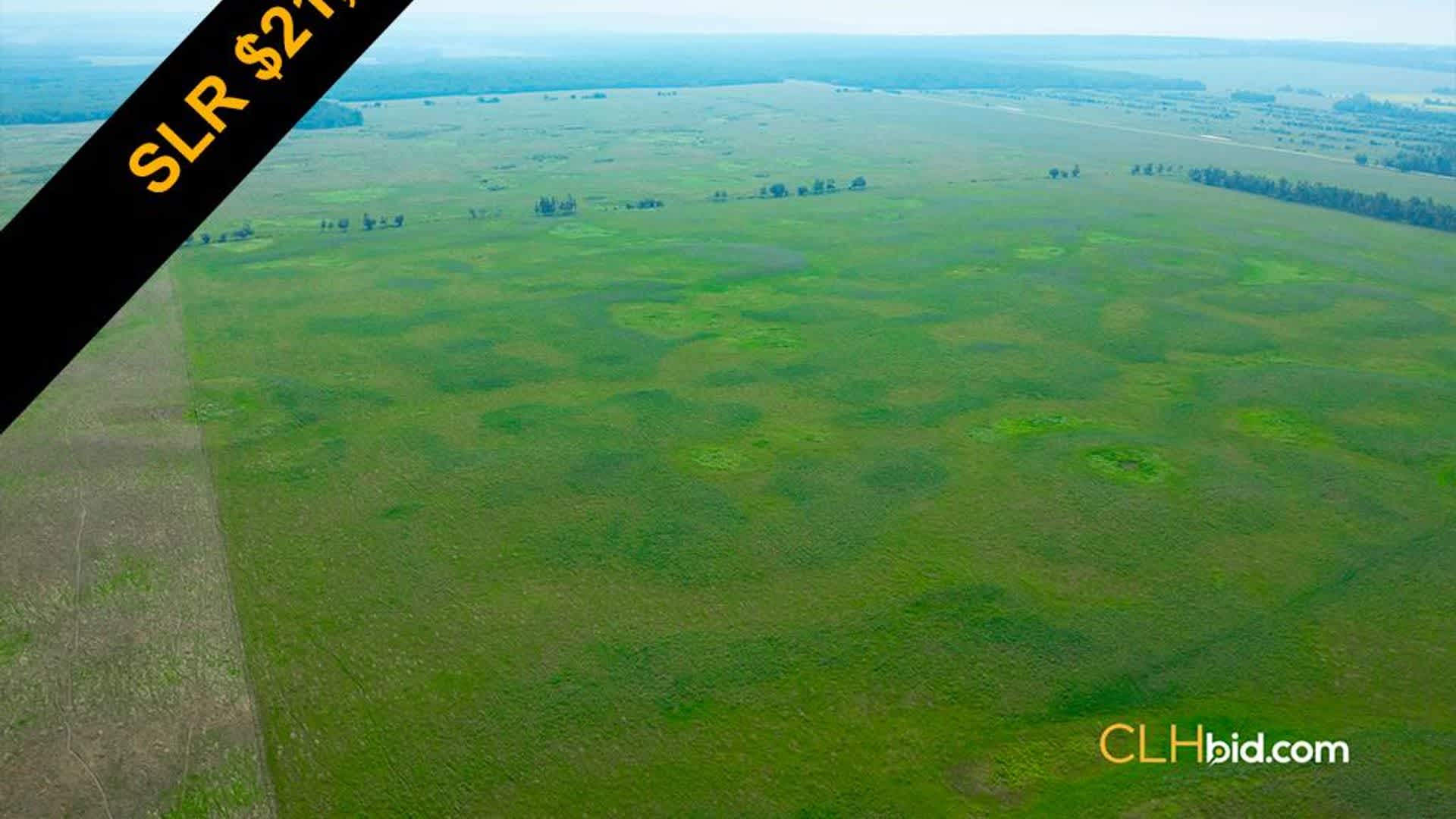 View from above of Cattle Drive Country