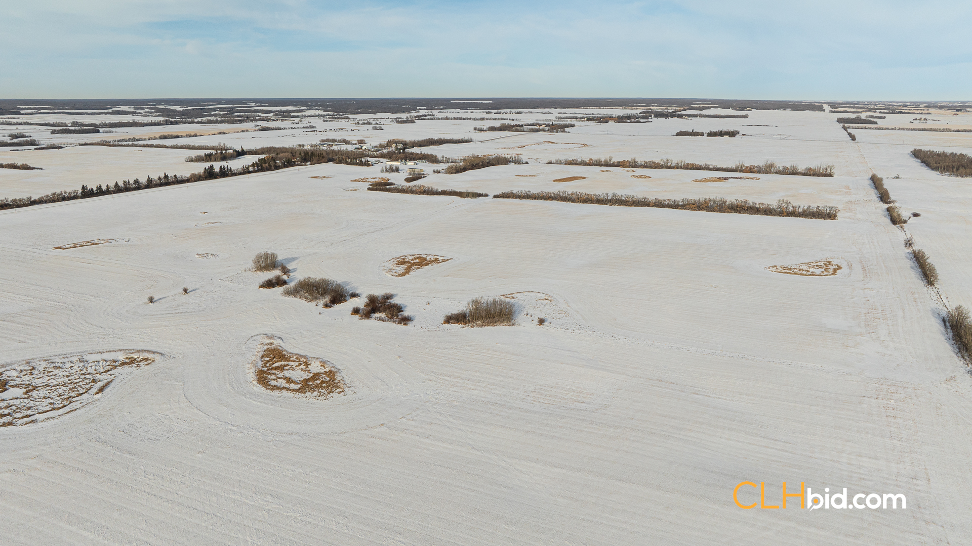 Web-TripleHorsepower-21