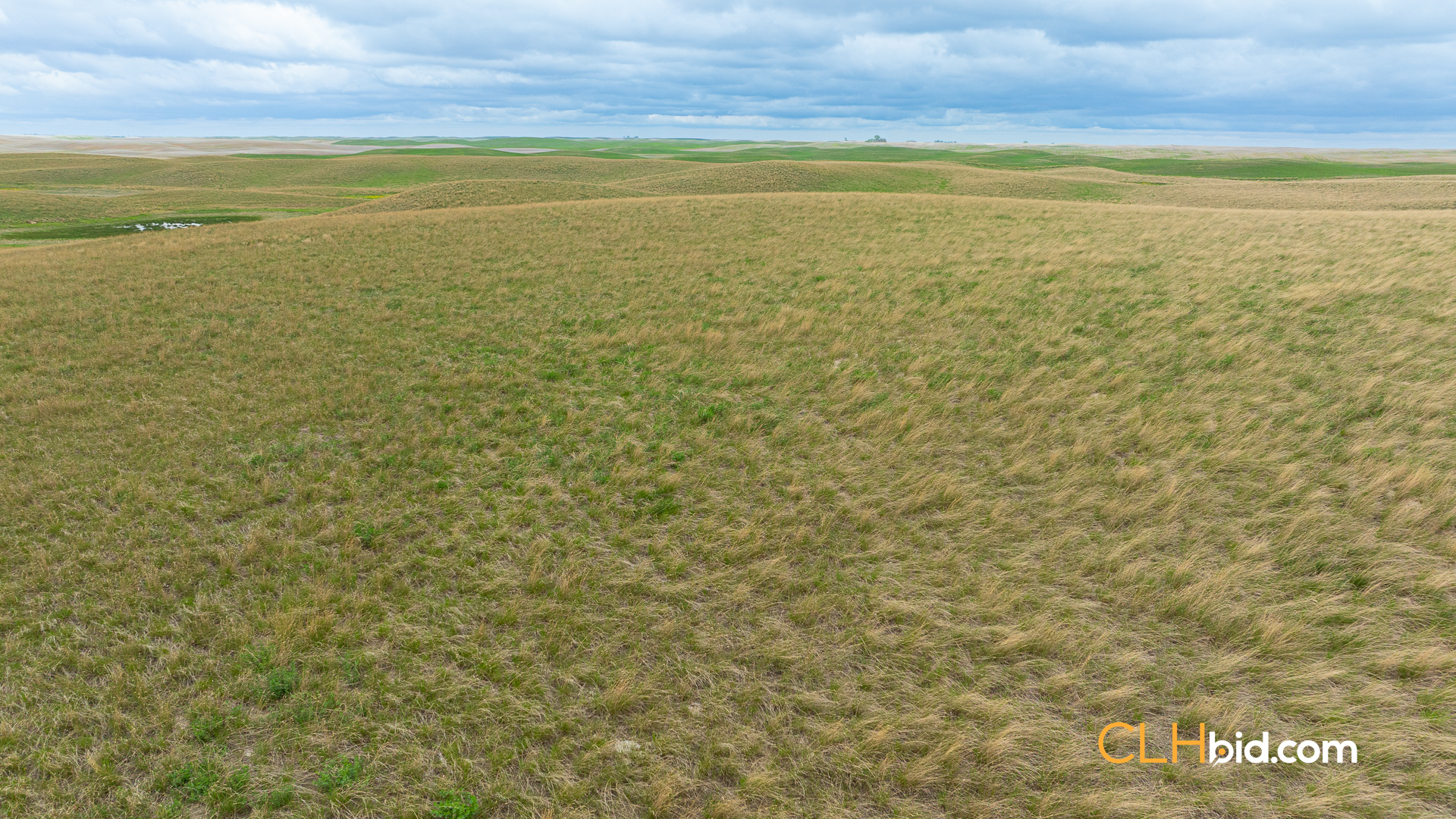 Web-LegacyMoveNEW-28